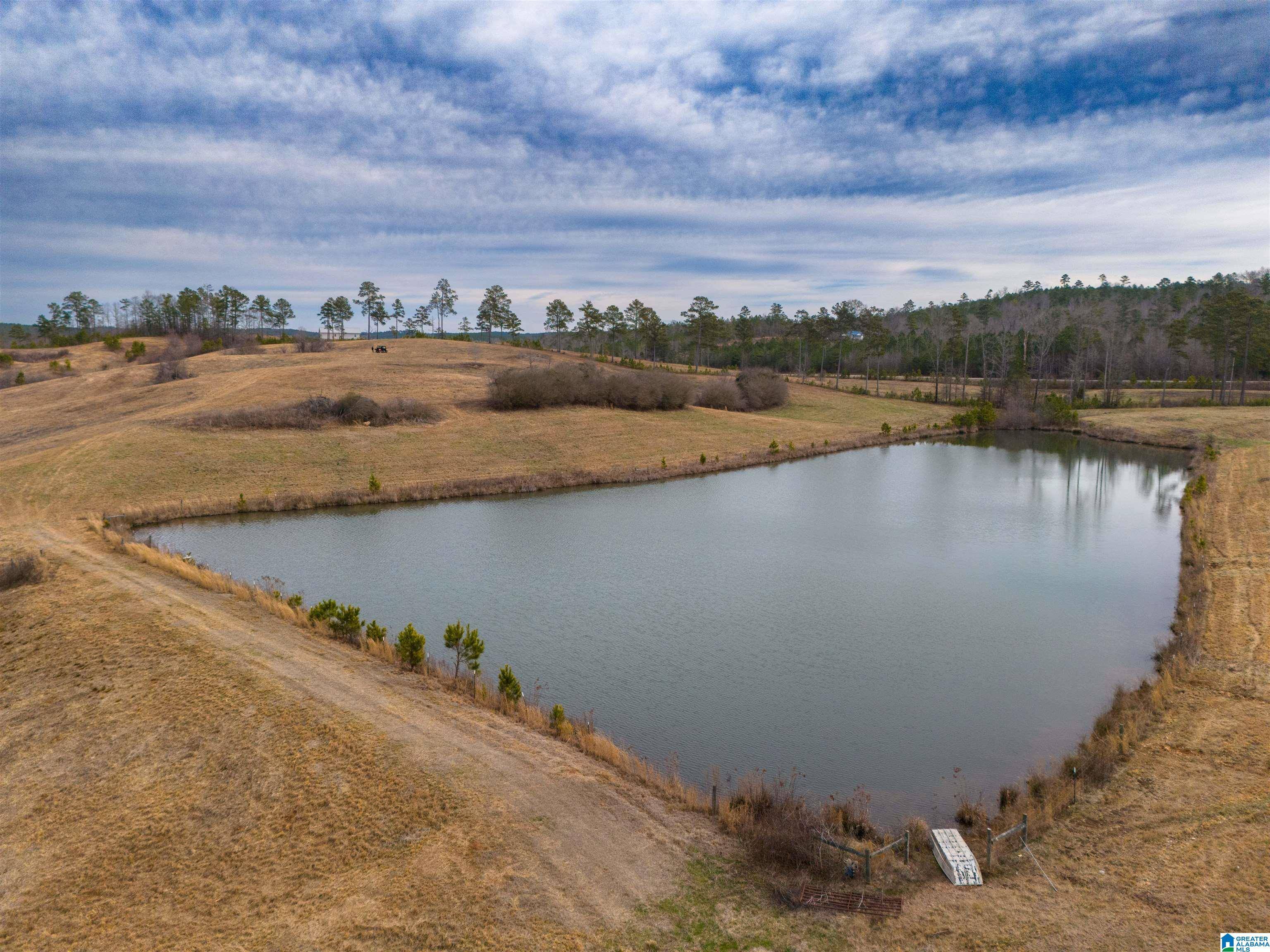 Wedowee, AL 36278,COUNTY ROAD 15 #157 Acres