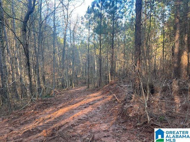 Cragford, AL 36255,LAMBERT ROAD #56 Ac
