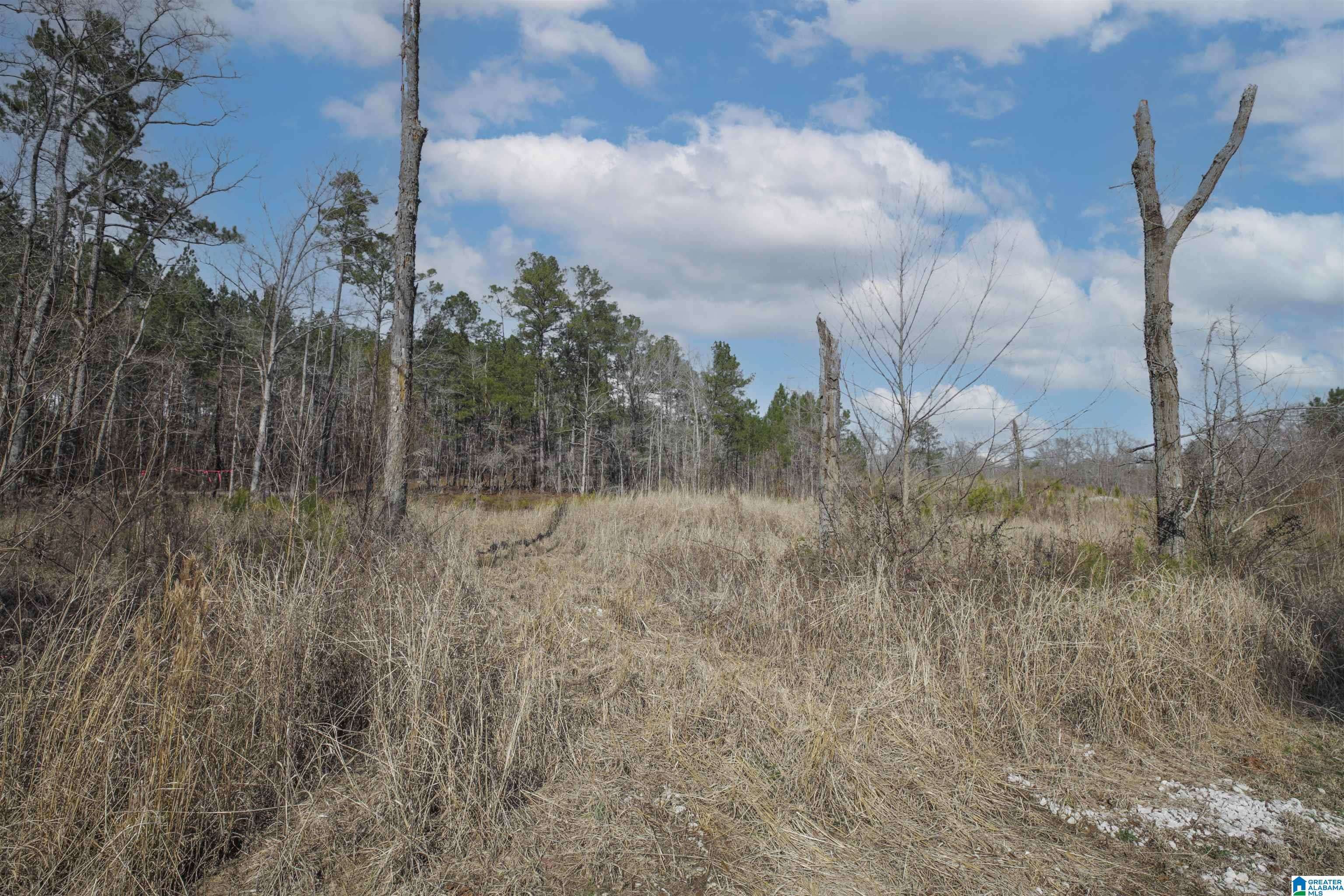 Chelsea, AL 35051,17 CHELSEA HIGHLANDS PARKWAY #17