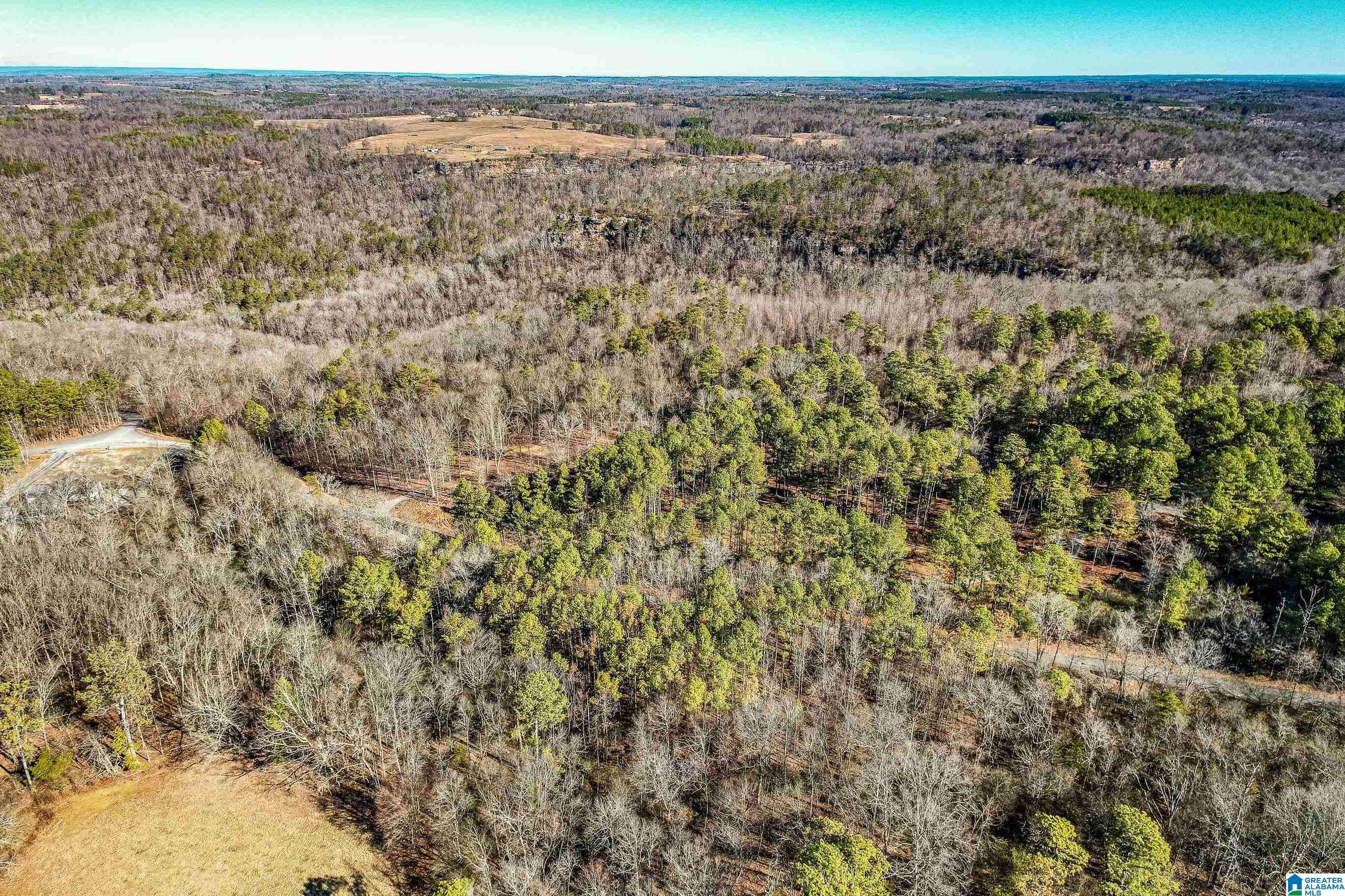 Grove Oak, AL 35975,0 COUNTY ROAD 173 #0