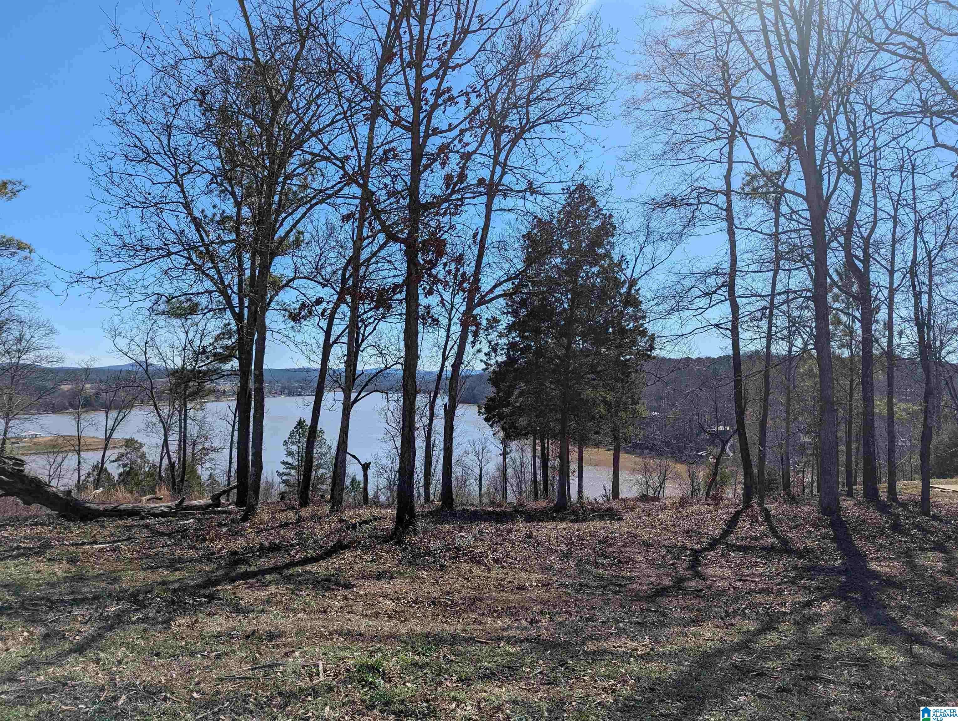 Lincoln, AL 35096,0 OVERLOOK RIDGE #0
