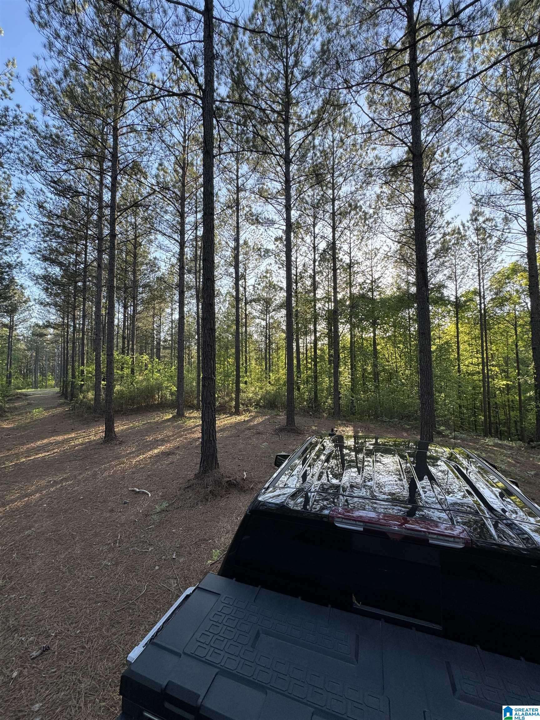 Westover, AL 35147,218 FOXTAIL PATH #11-F