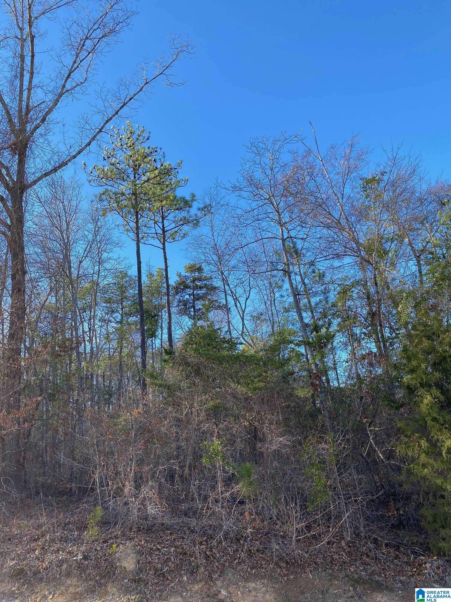 Westover, AL 35147,218 FOXTAIL PATH #11-F