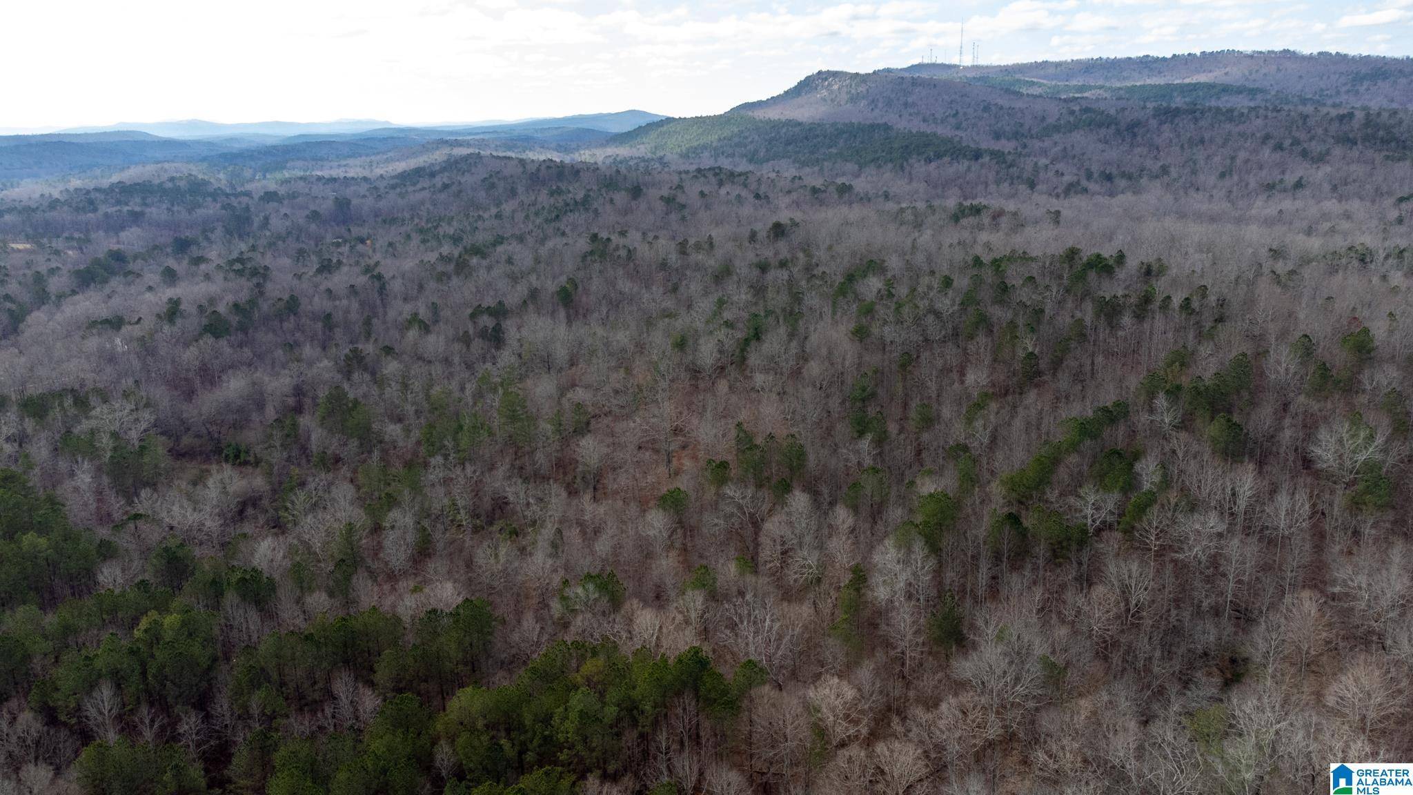Odenville, AL 35120,0 COOK SPRINGS ROAD #0