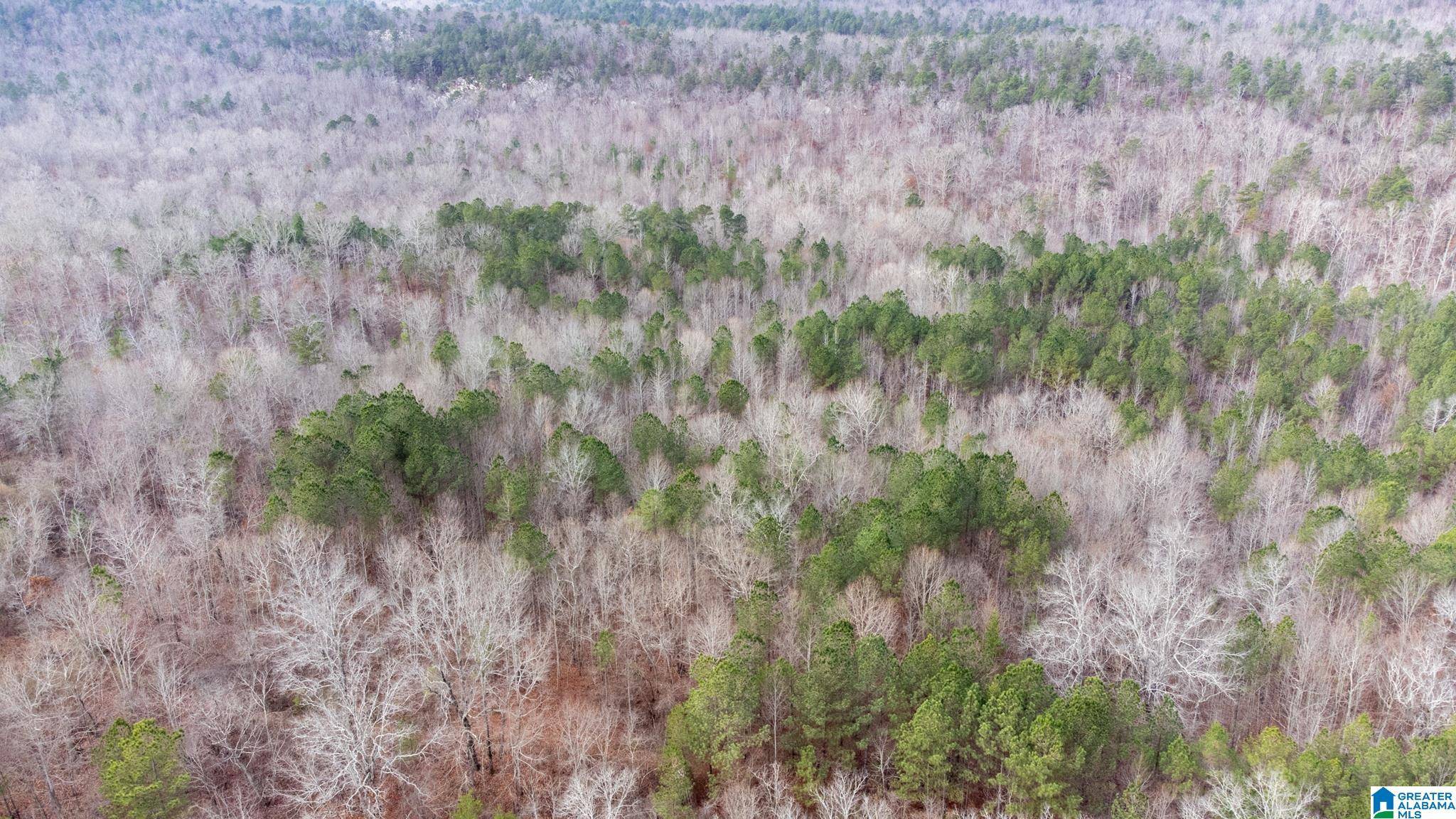 Odenville, AL 35120,0 COOK SPRINGS ROAD #0