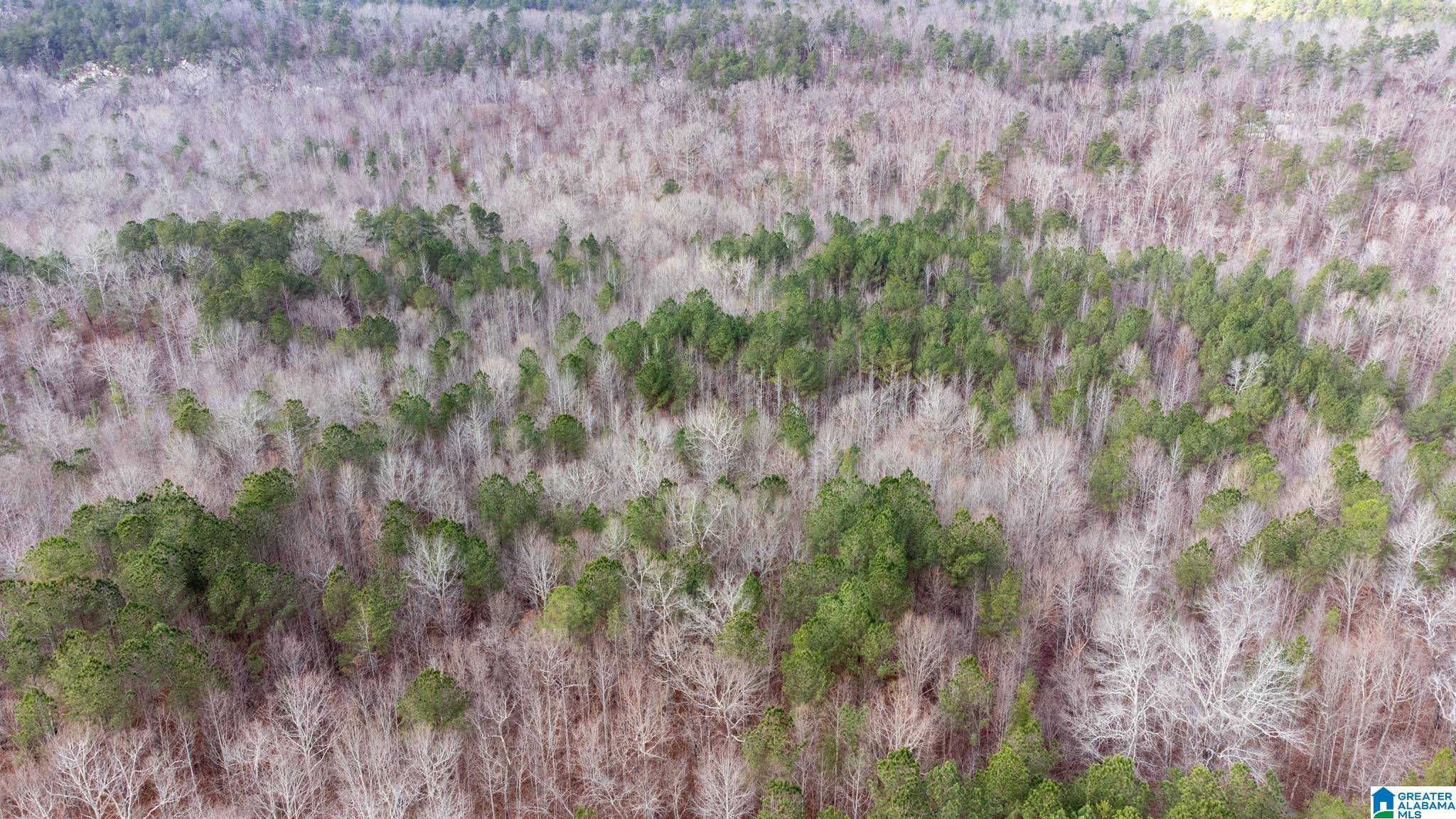Odenville, AL 35120,0 COOK SPRINGS ROAD #0
