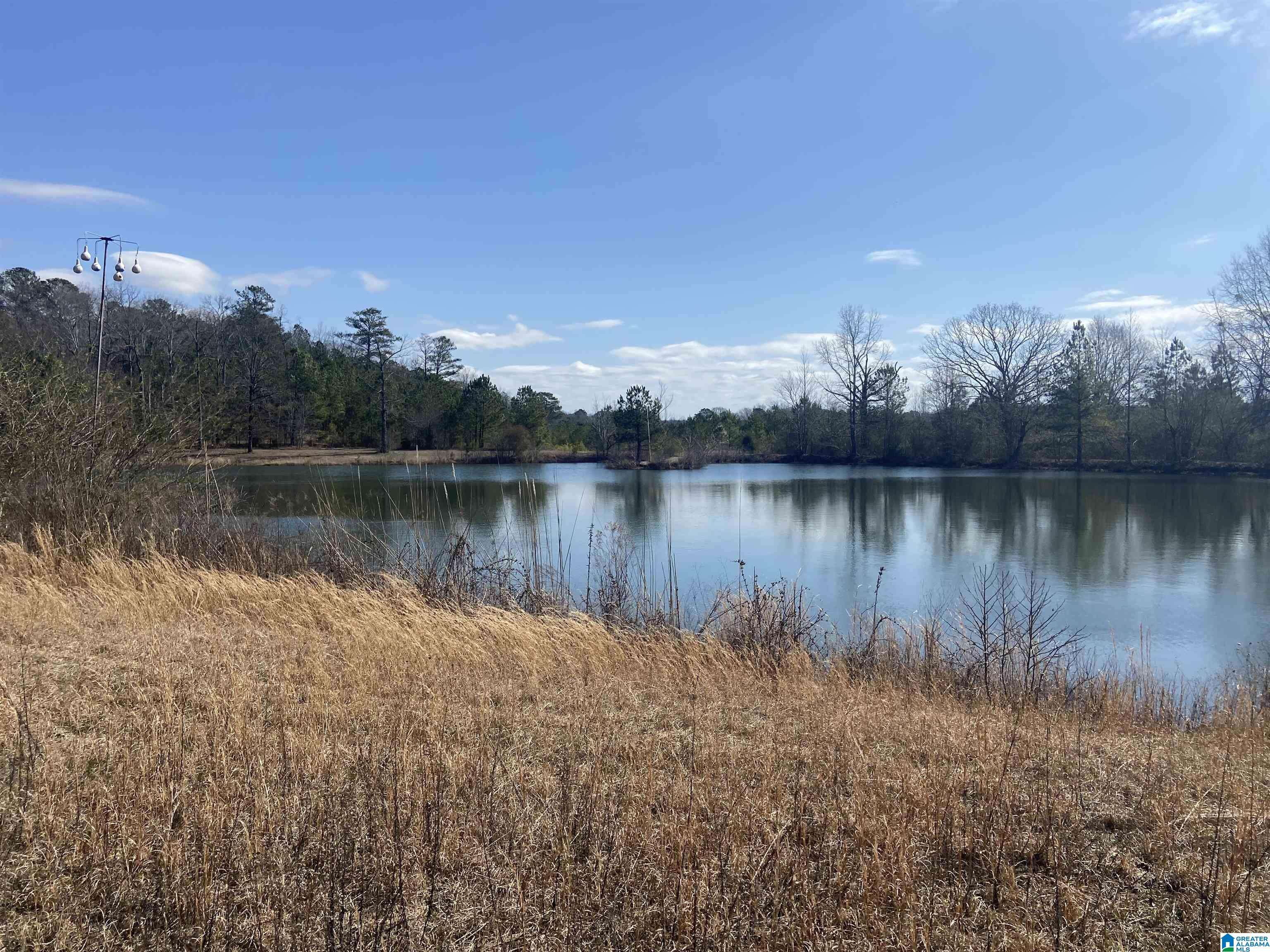 Bessemer, AL 35022,7234 JOSHUA DRIVE #3.8 Acres