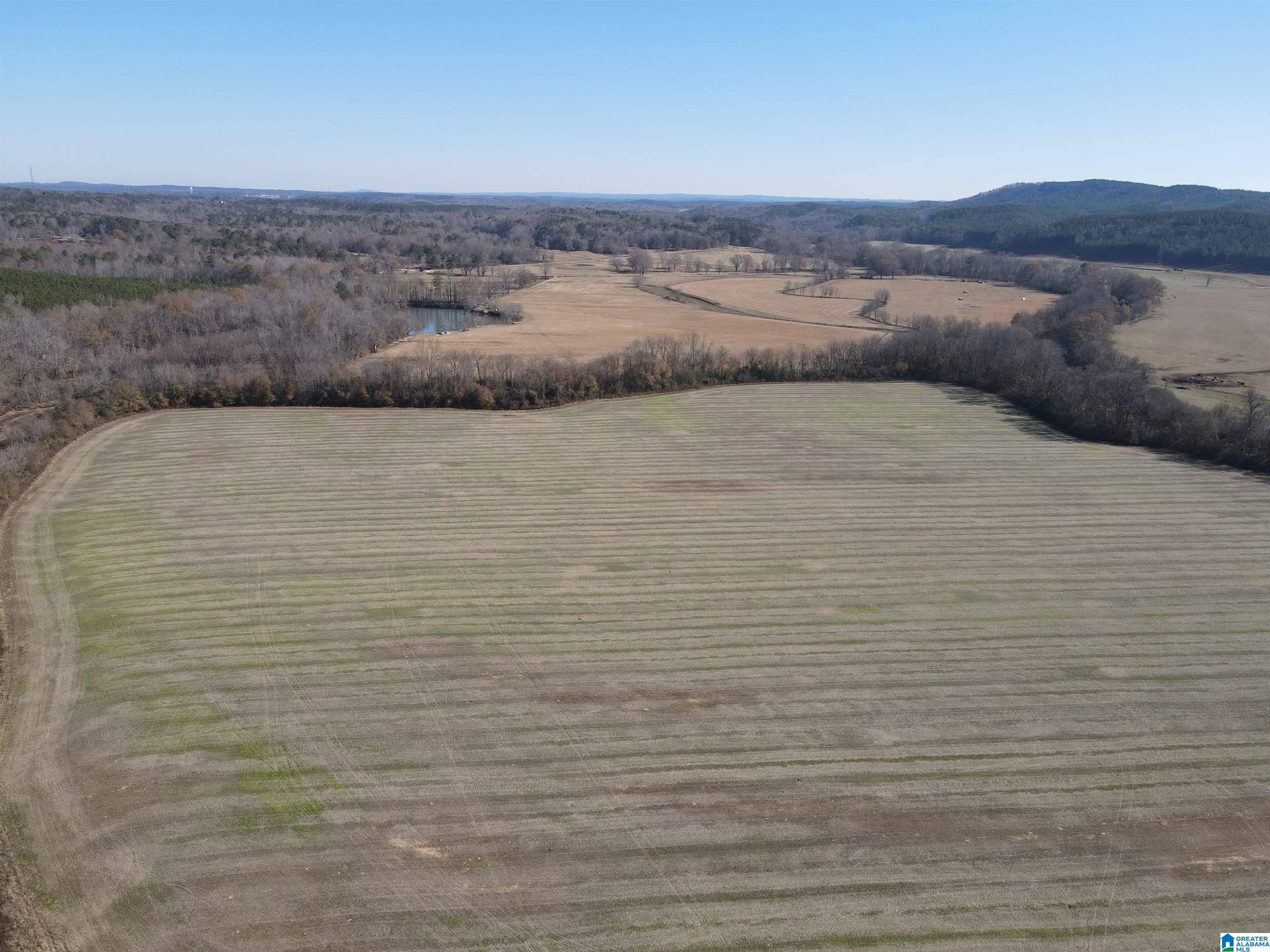 Heflin, AL 36264,0 AL HIGHWAY 9 #0