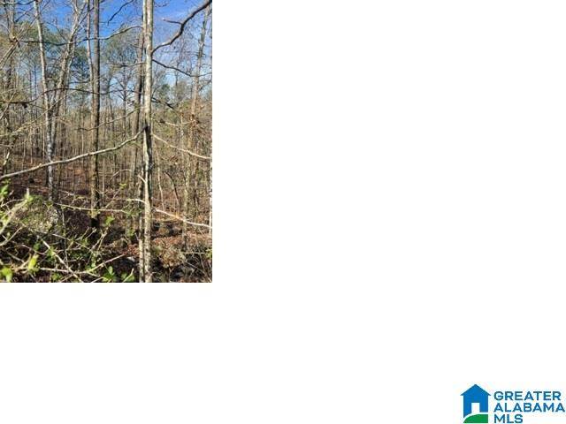 Alpine, AL 35014,HIGHWAY 191 #16