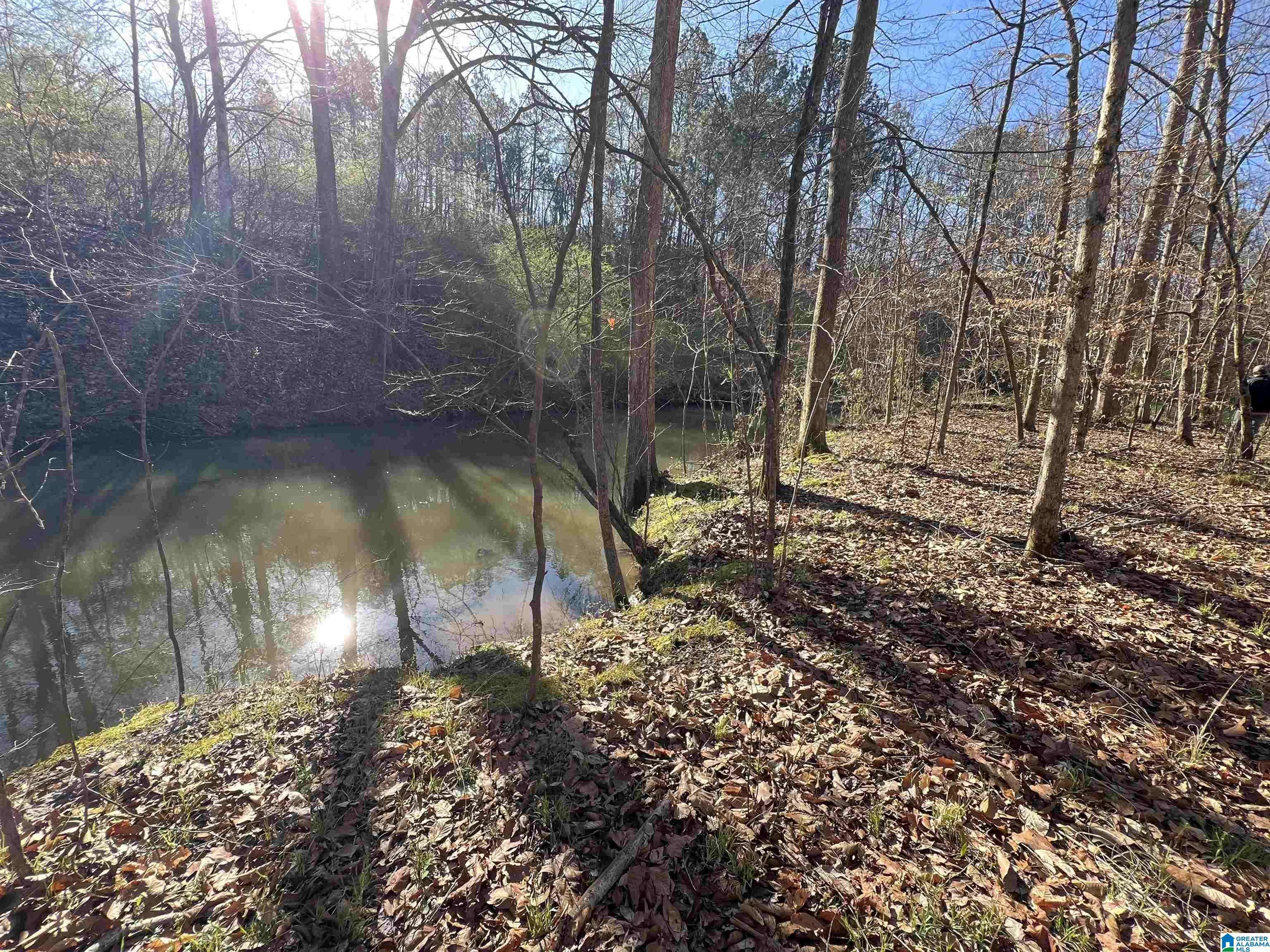 Westover, AL 35147,95 CHOW DRIVE #0