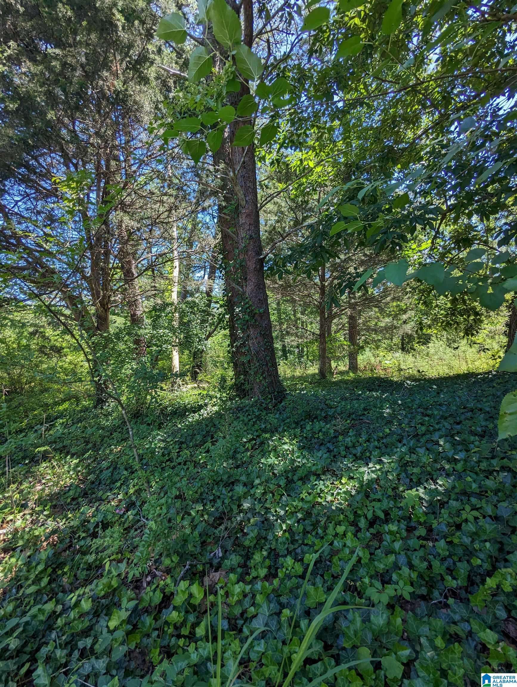 Pinson, AL 35126,8974 WOODHAVEN DRIVE #105