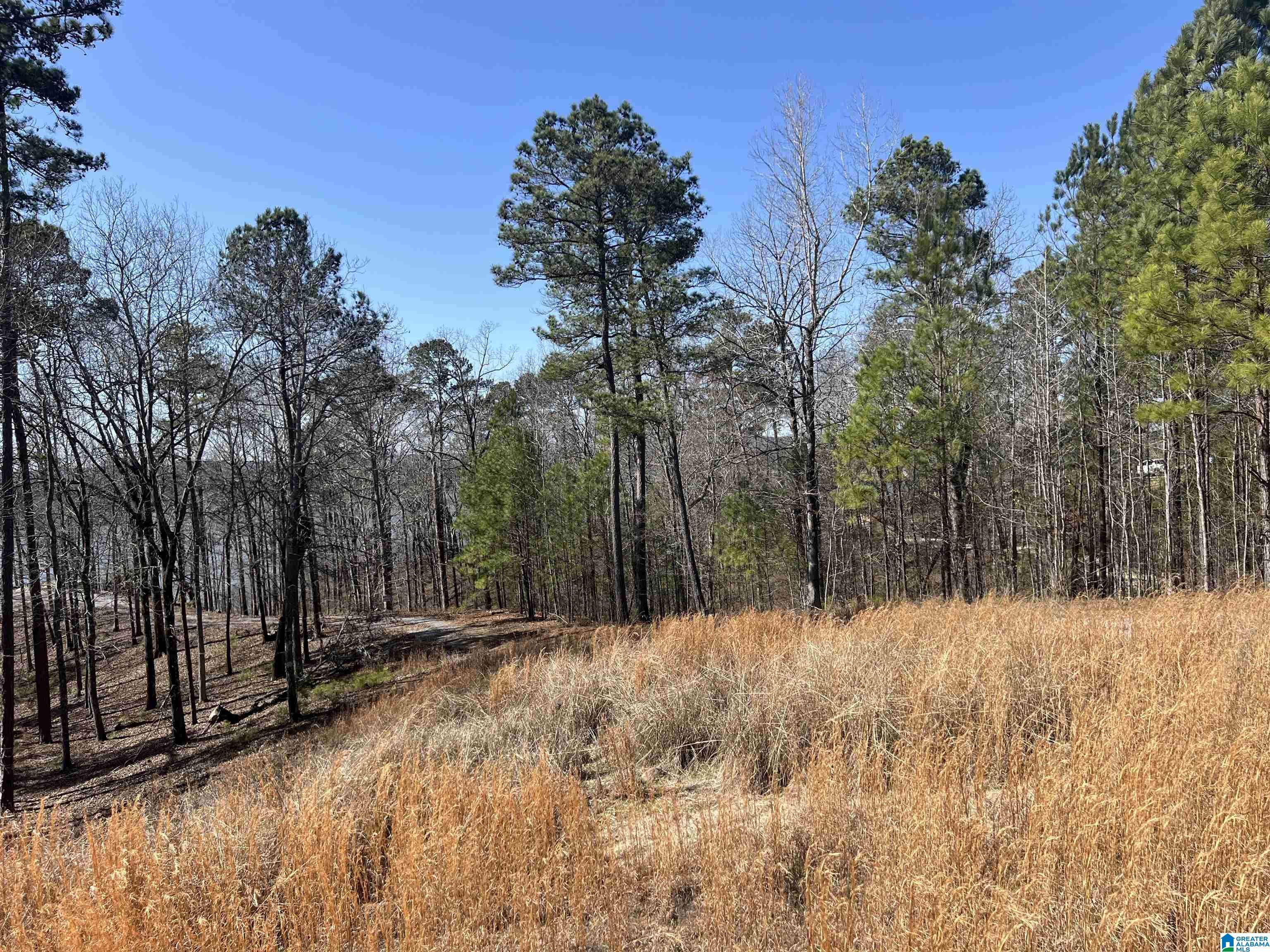 Sylacauga, AL 35151,SHORESIDE LANE #133