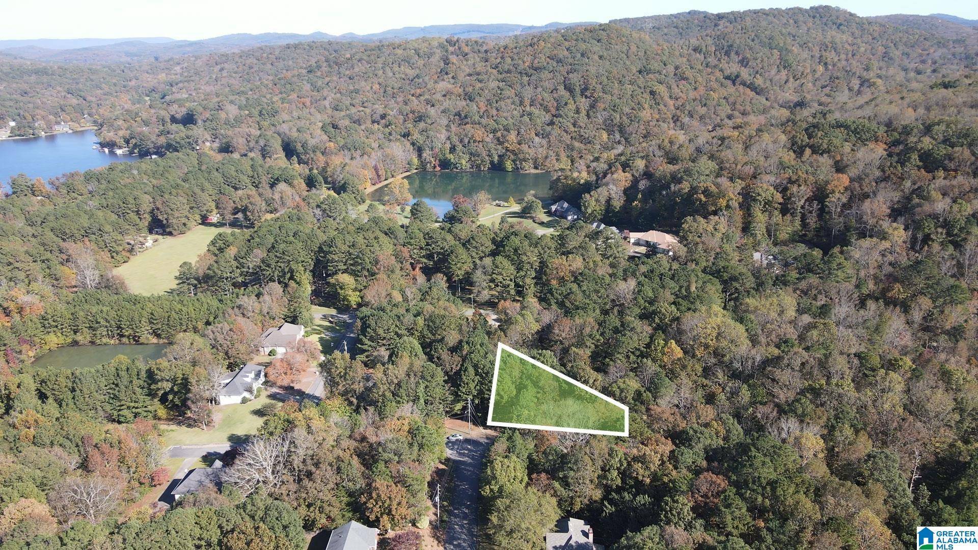 Pinson, AL 35126,8201 EMERALD LANE #2