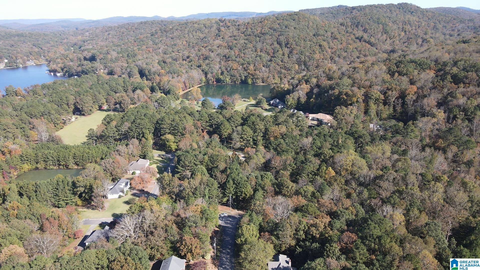 Pinson, AL 35126,8201 EMERALD LANE #2