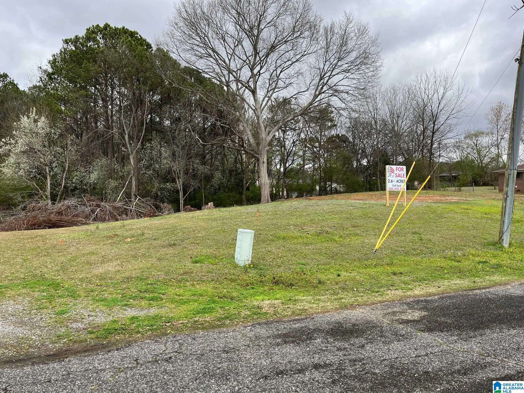 Gardendale, AL 35071,716 KERR DRIVE #na