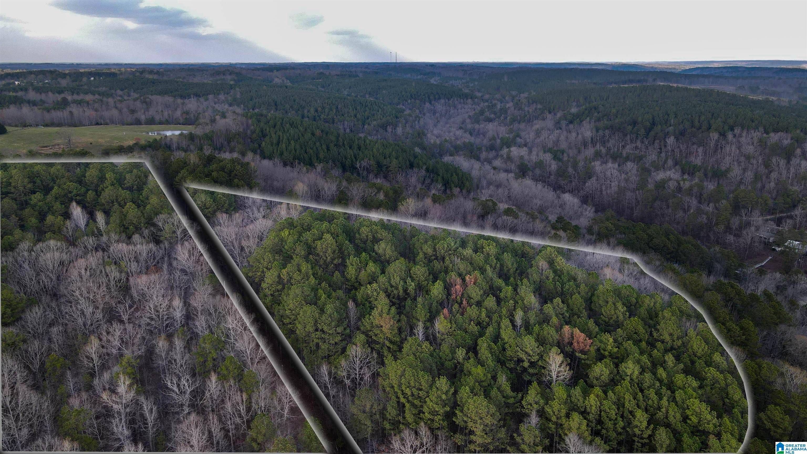 Logan, AL 35098,0 COUNTY ROAD 4004 #0