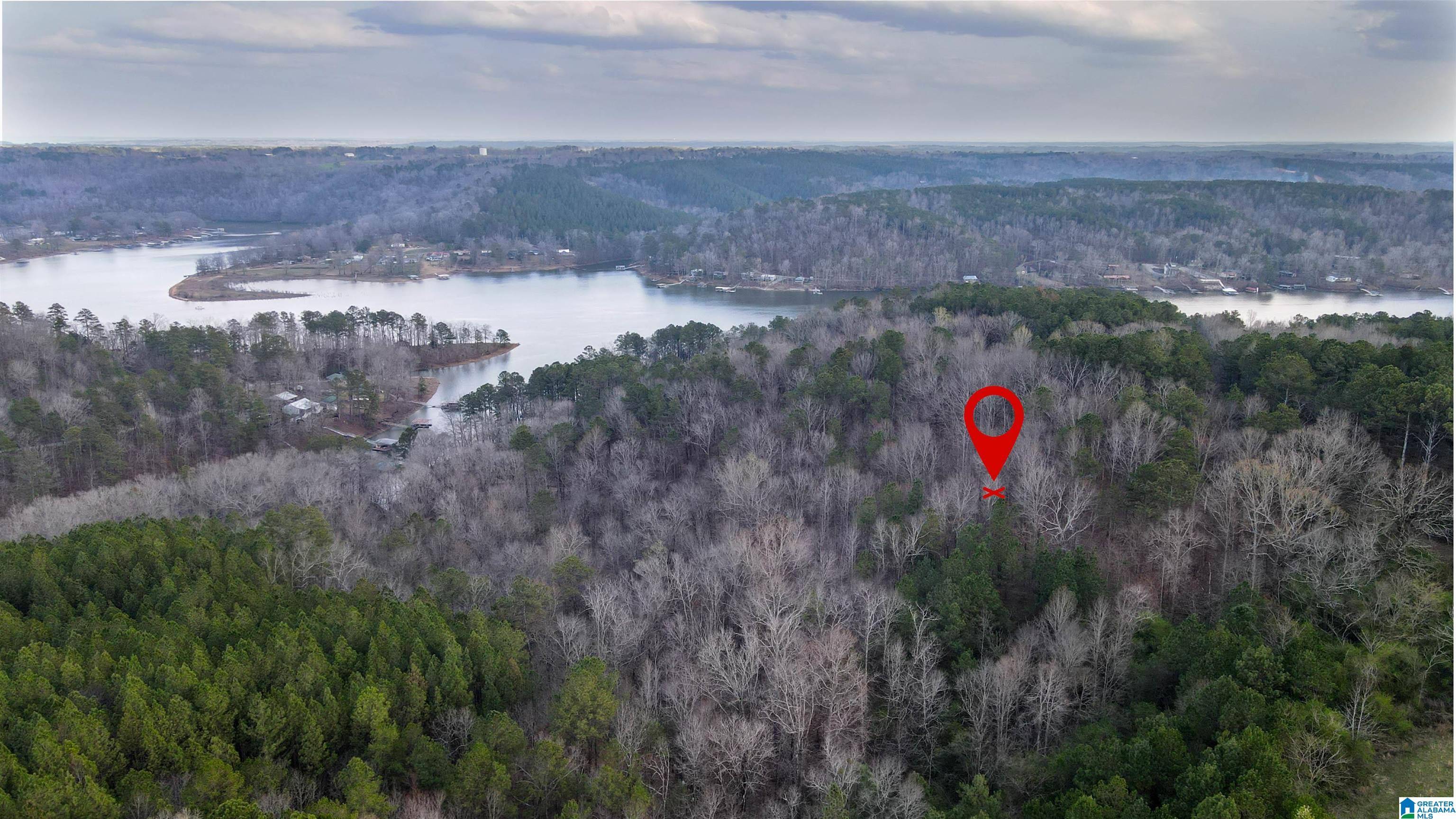 Logan, AL 35098,0 COUNTY ROAD 4004 #0