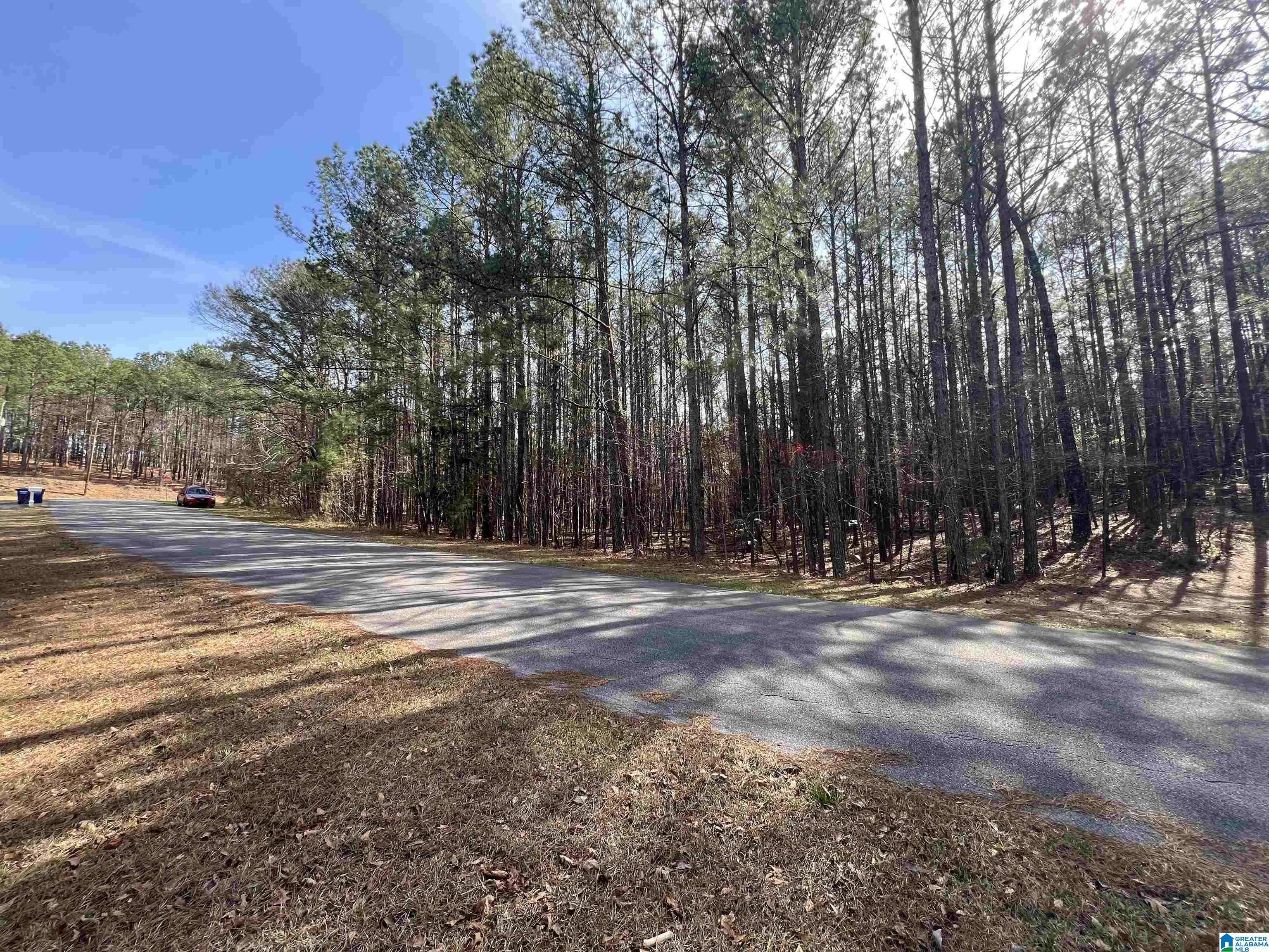 Chelsea, AL 35043,0 CROSSBROOK CIRCLE #Lot 1