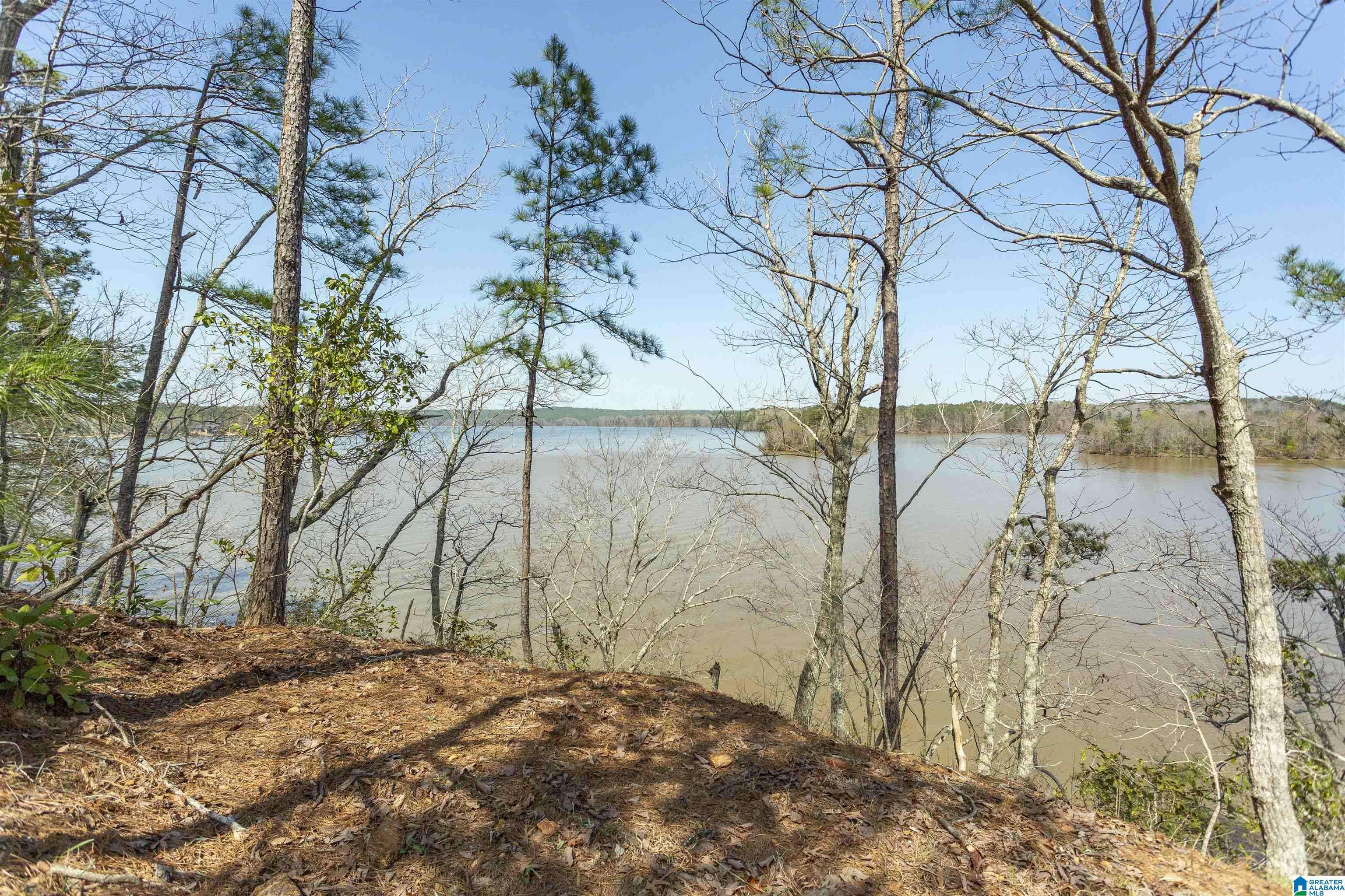 Rockford, AL 35136,87 WATER SPRING COURT #1