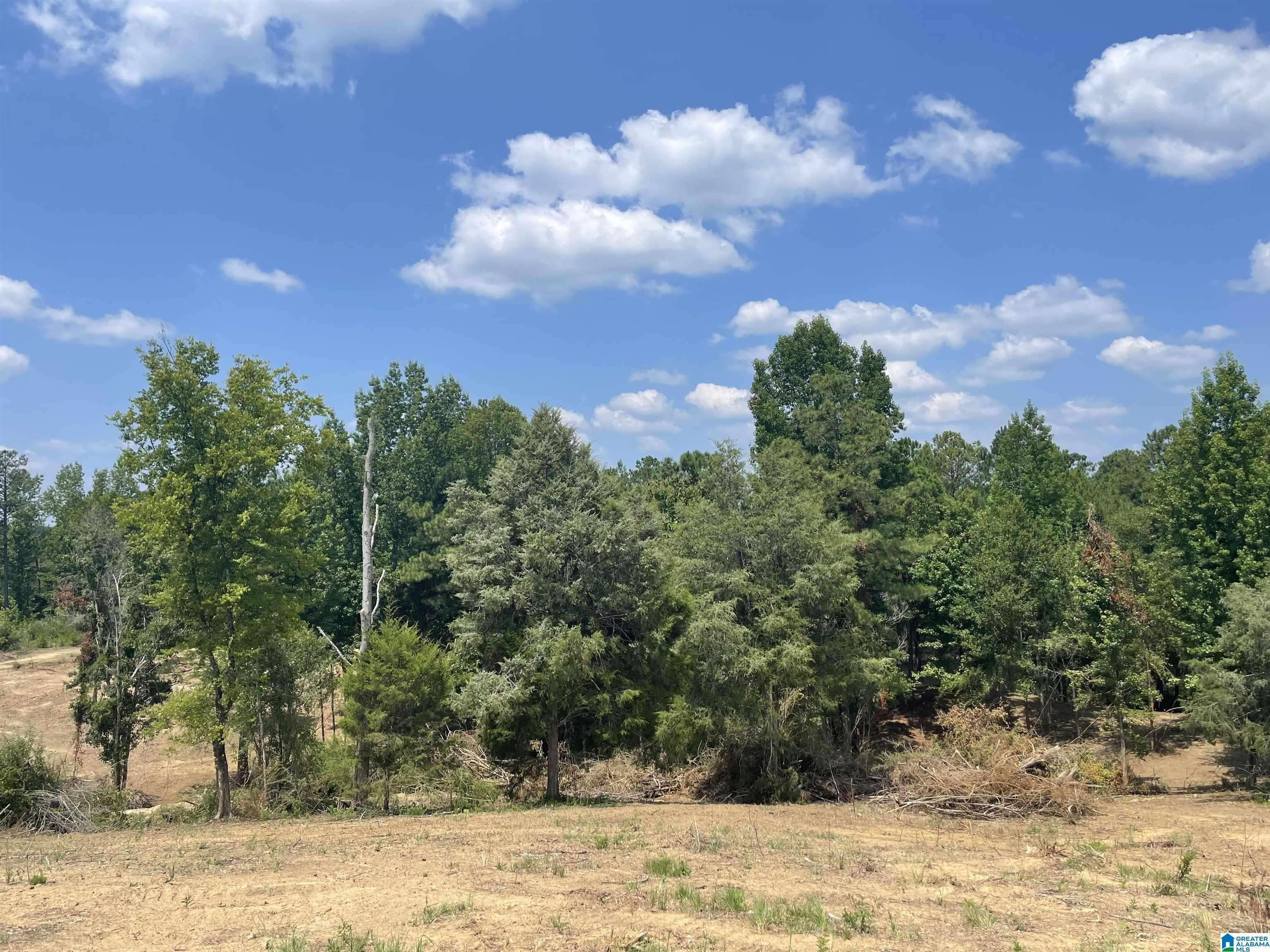 West Blocton, AL 35184,009 HIGHWAY 5 #11