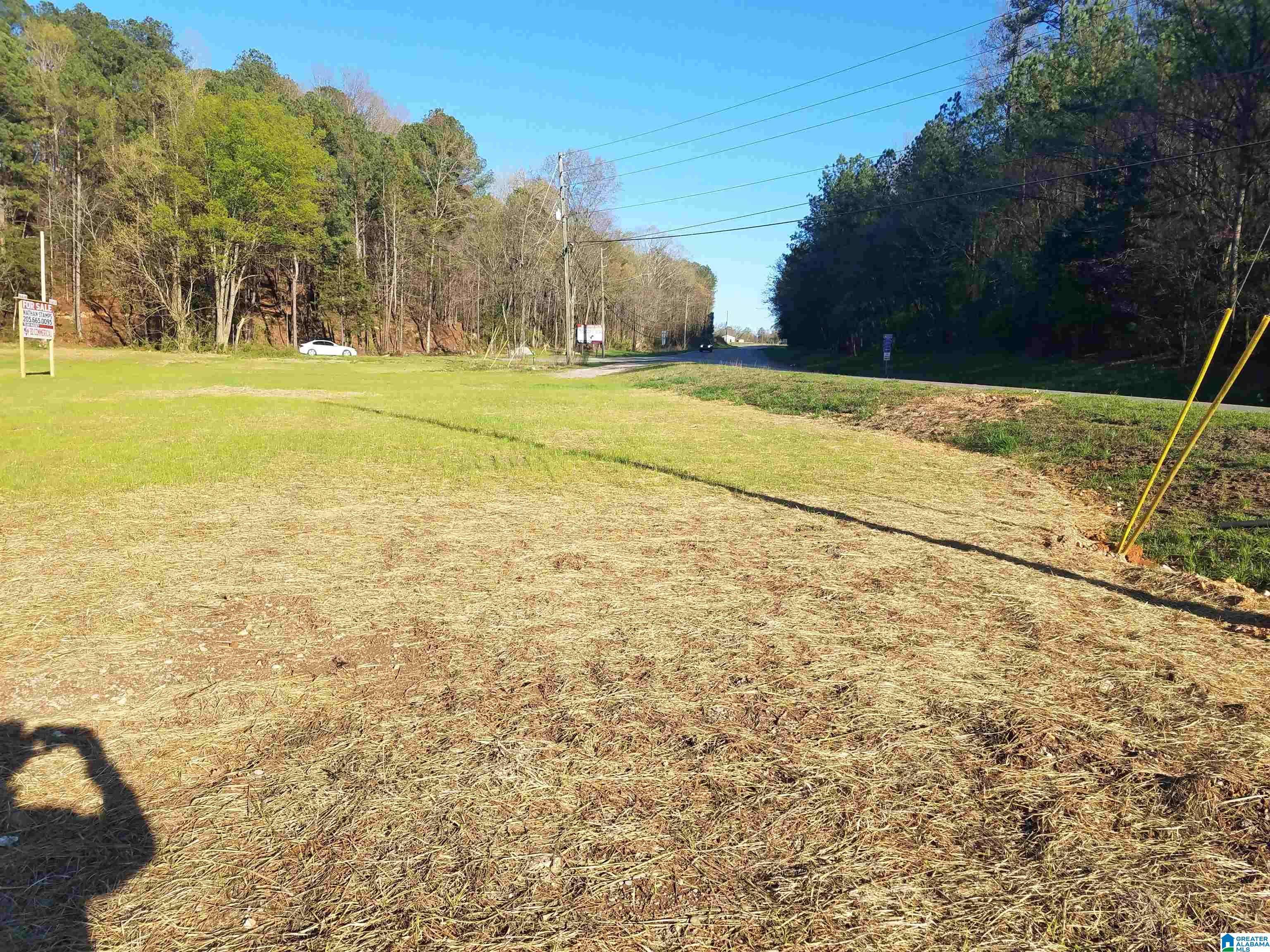 Montevallo, AL 35115,4905 HIGHWAY 25