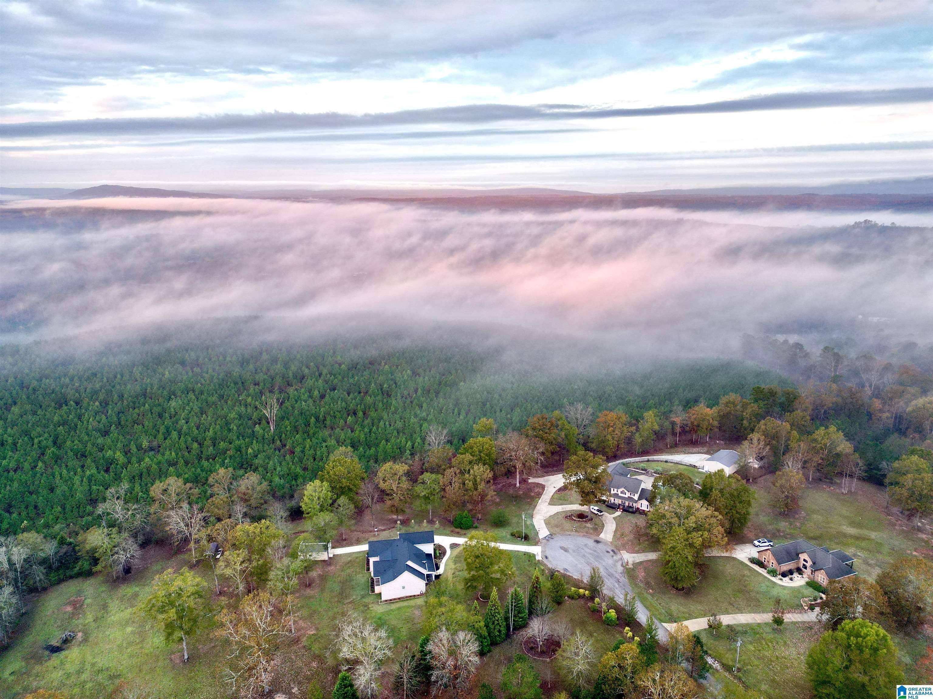 Cropwell, AL 35054,150 TUMBLEWEED LANE