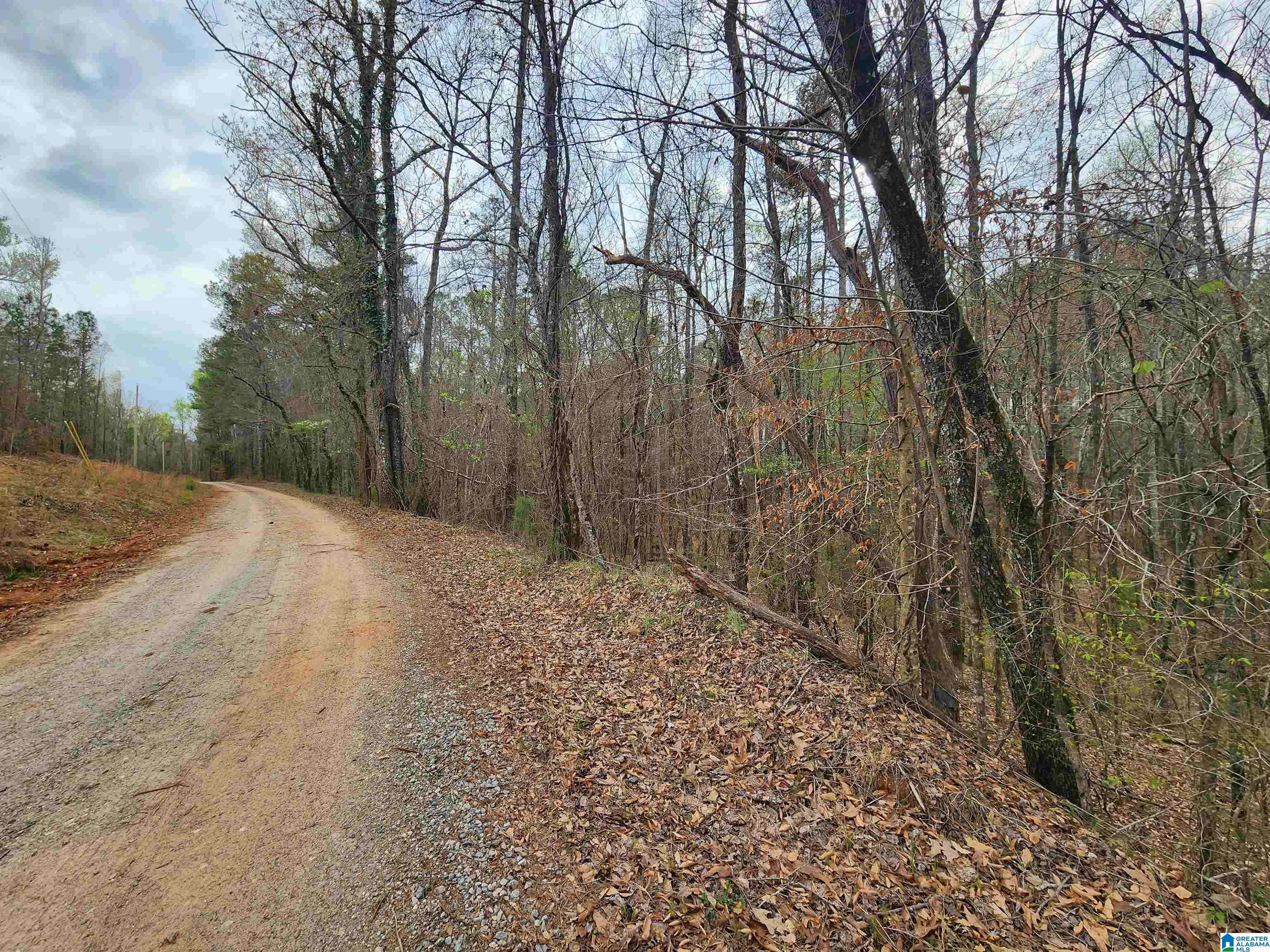 Goodwater, AL 35072,0000 COUNTY ROAD 141 #1