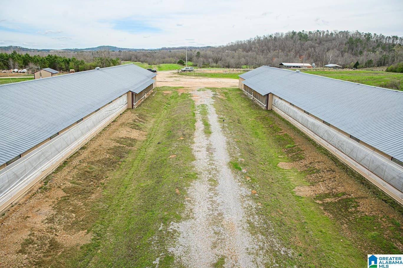 Wellington, AL 36279,890 NEW LIBERTY ROAD