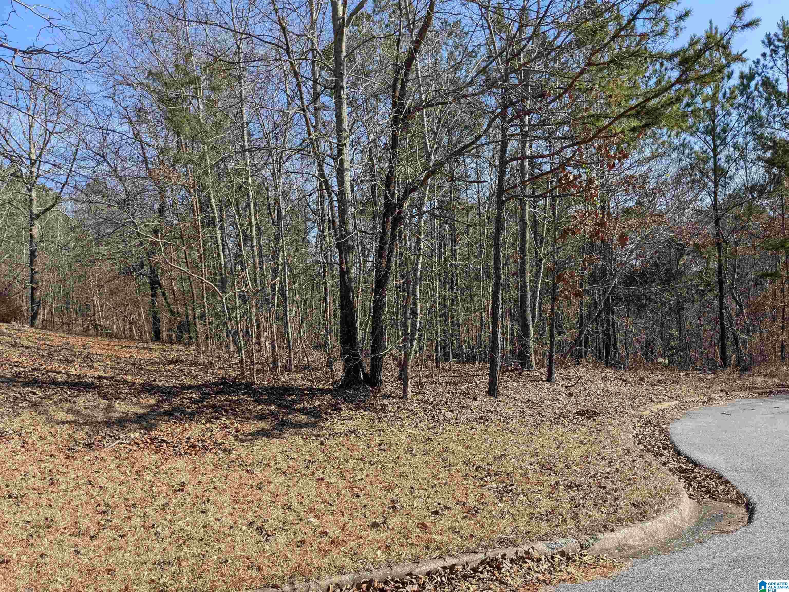 Anniston, AL 36206,0 (Lot 257B) WINFREY LANE #257B