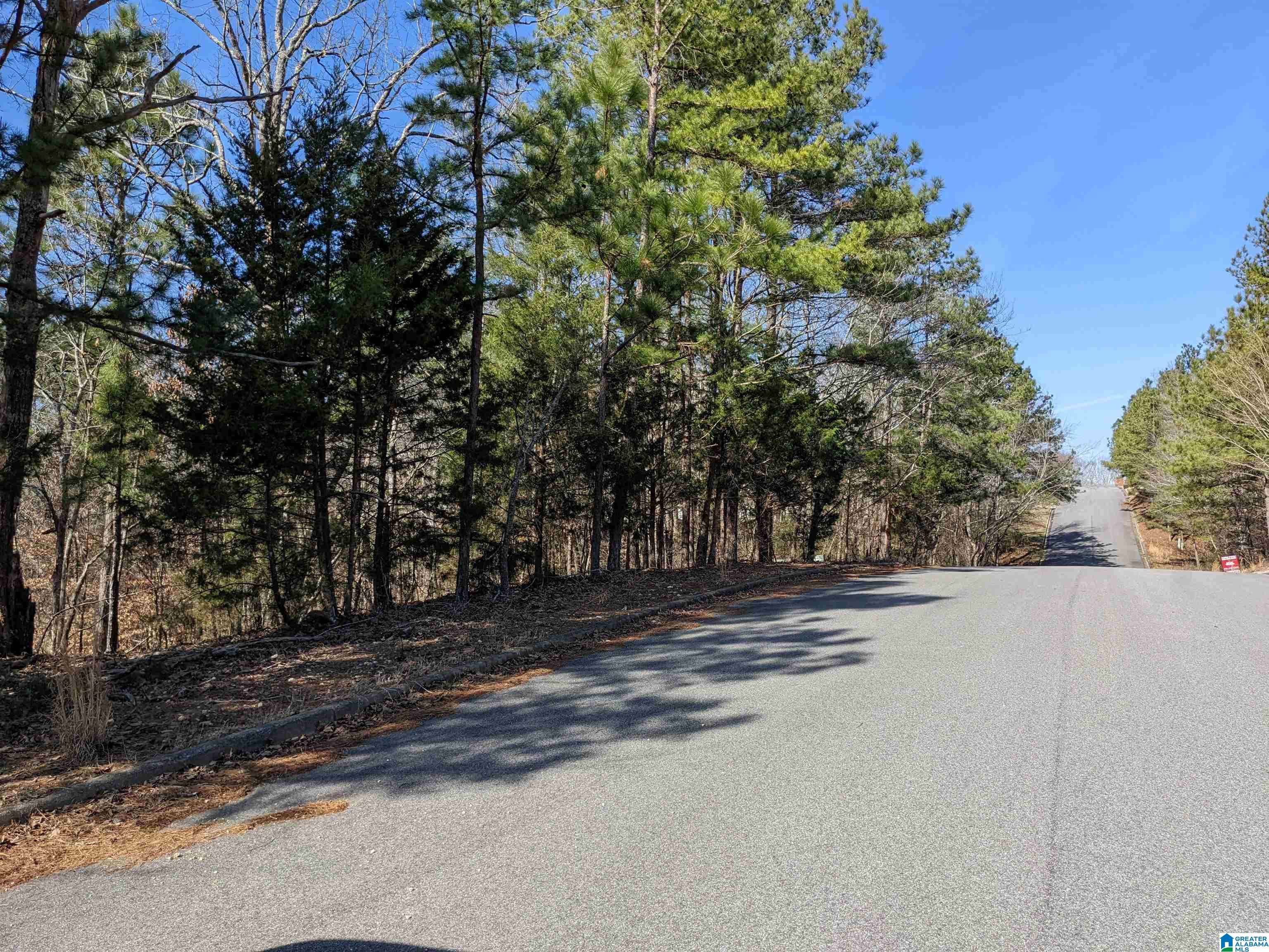 Anniston, AL 36206,0 (Lot 242) WINFREY LANE #242