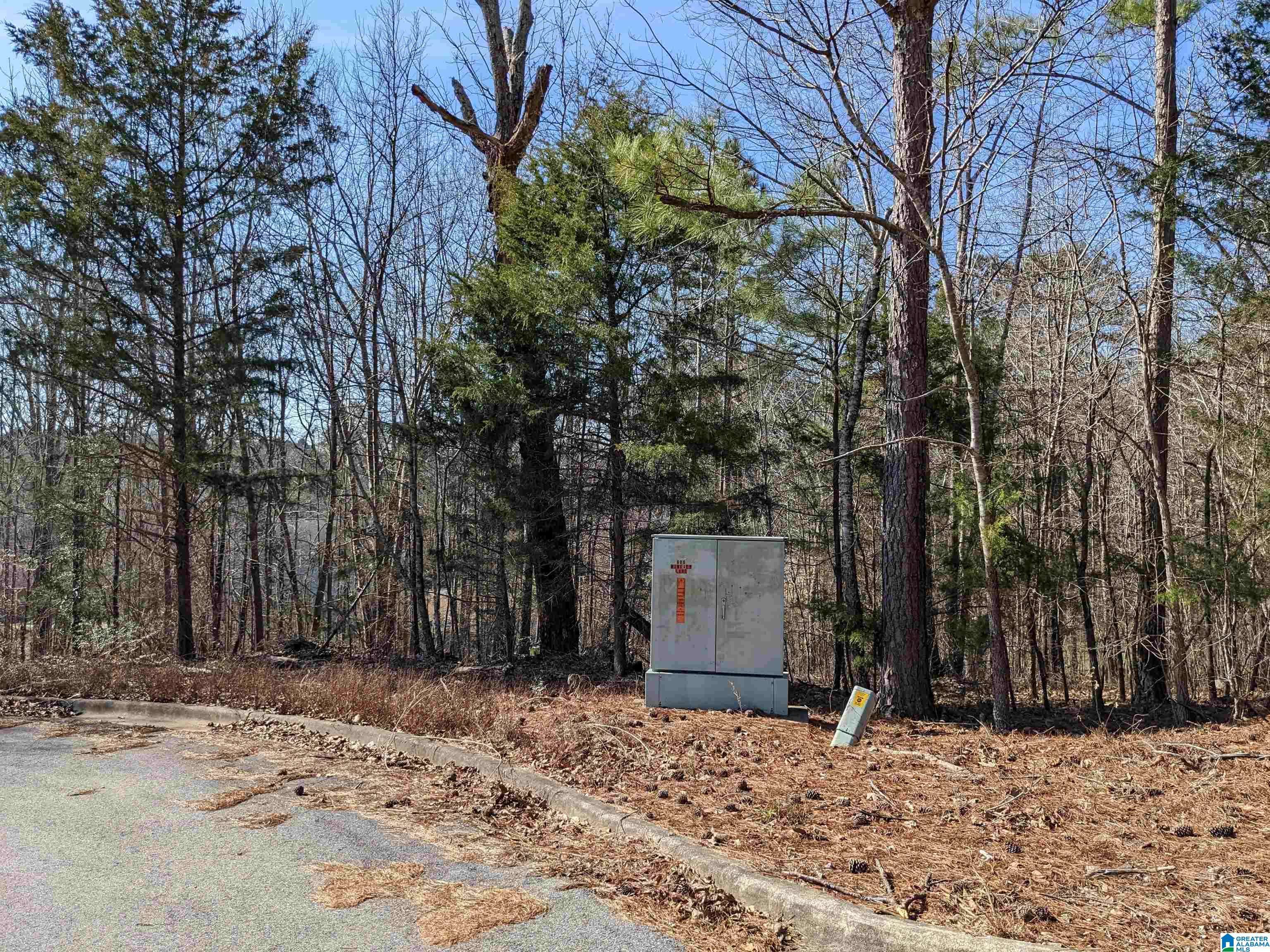 Anniston, AL 36206,0 (Lot 257A) WINFREY LANE #257A