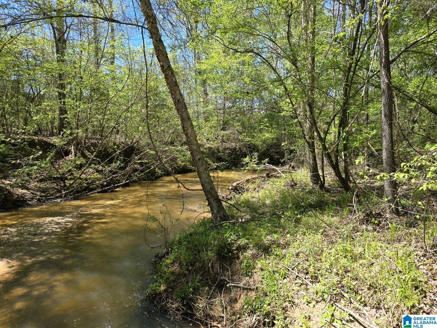 Maplesville, AL 36750,0 HIGHWAY 82 #none