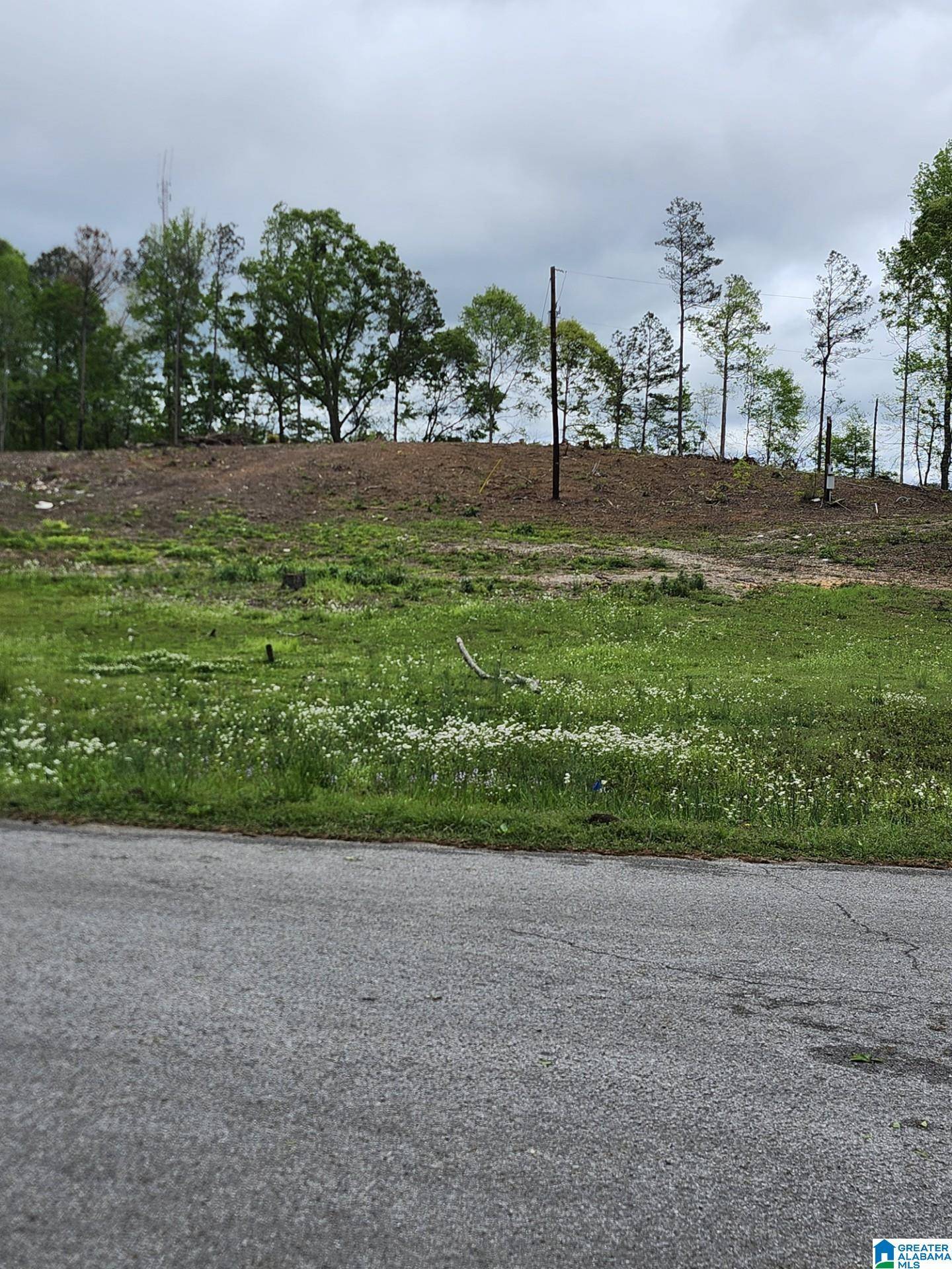 Thorsby, AL 35171,0 MISSISSIPPI AVENUE #1