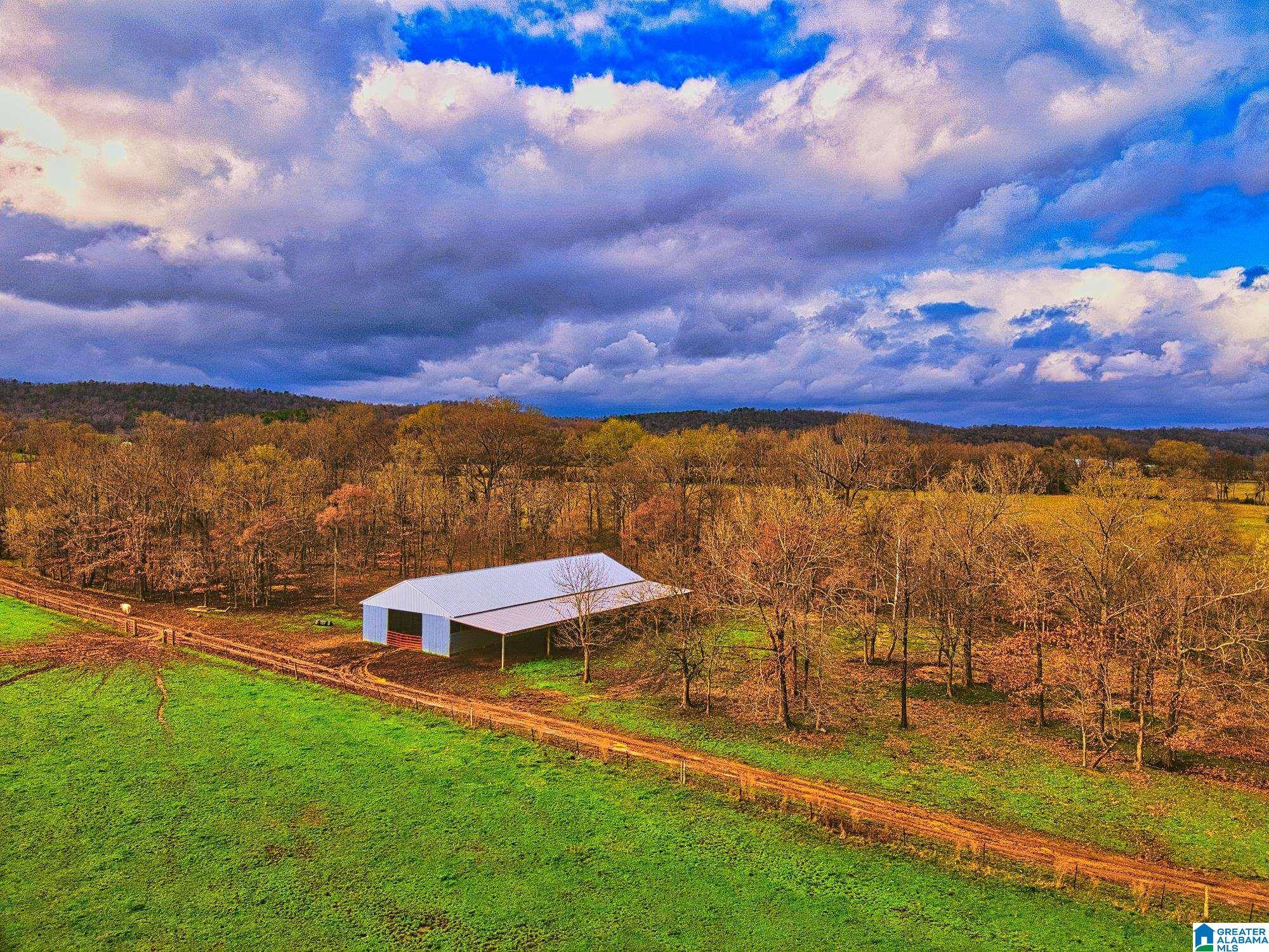 Blountsville, AL 35031,0 HINDS ROAD #0