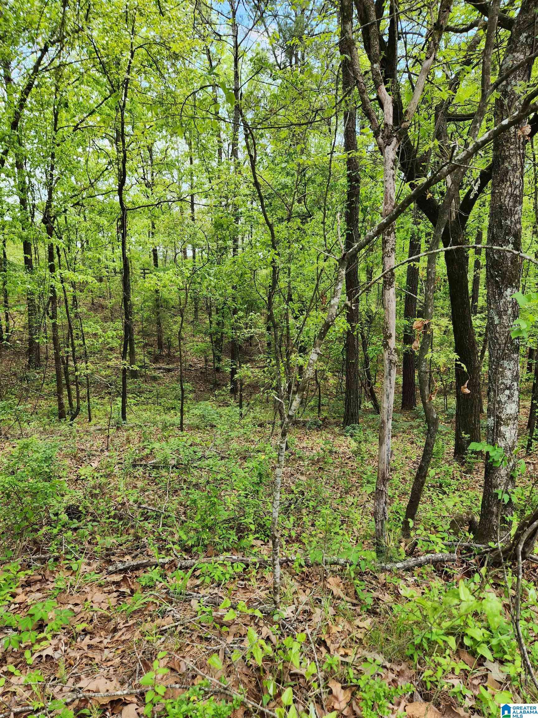 Calera, AL 35040,0 DOGWOOD DRIVE #32