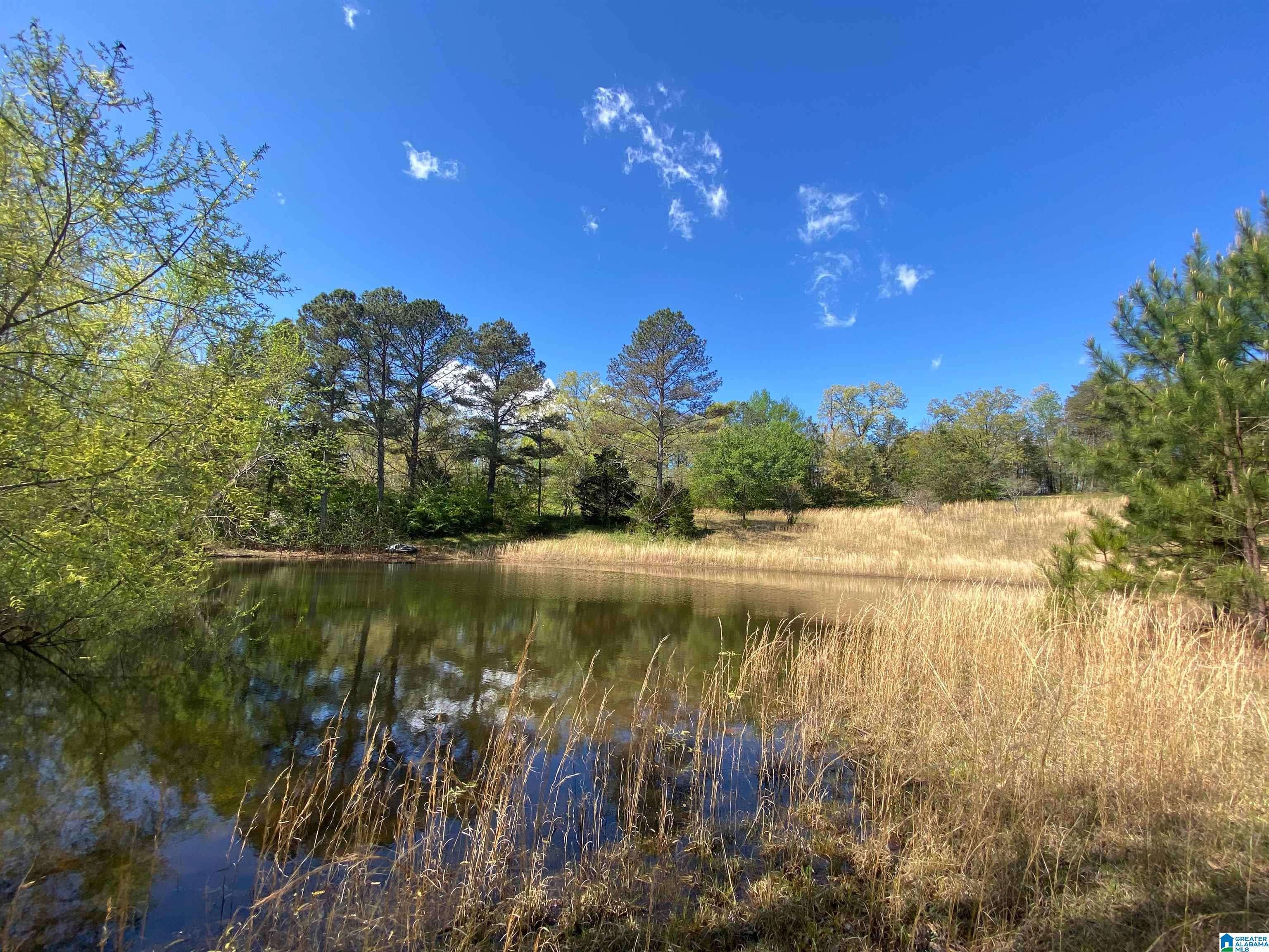 Odenville, AL 35953,2590 LEVINE ROAD #13 Acres