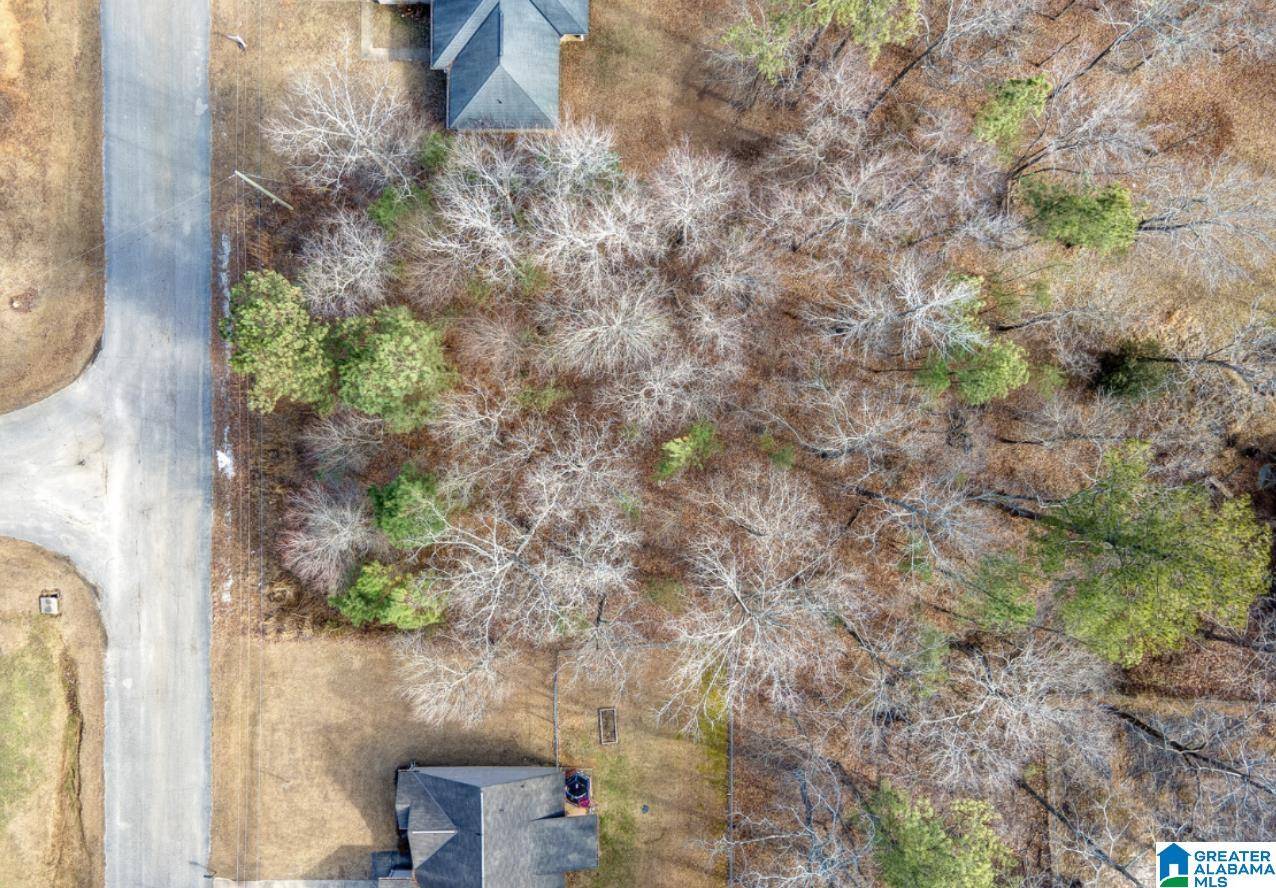 Mccalla, AL 35111,20379 CASTLE RIDGE ROAD #122