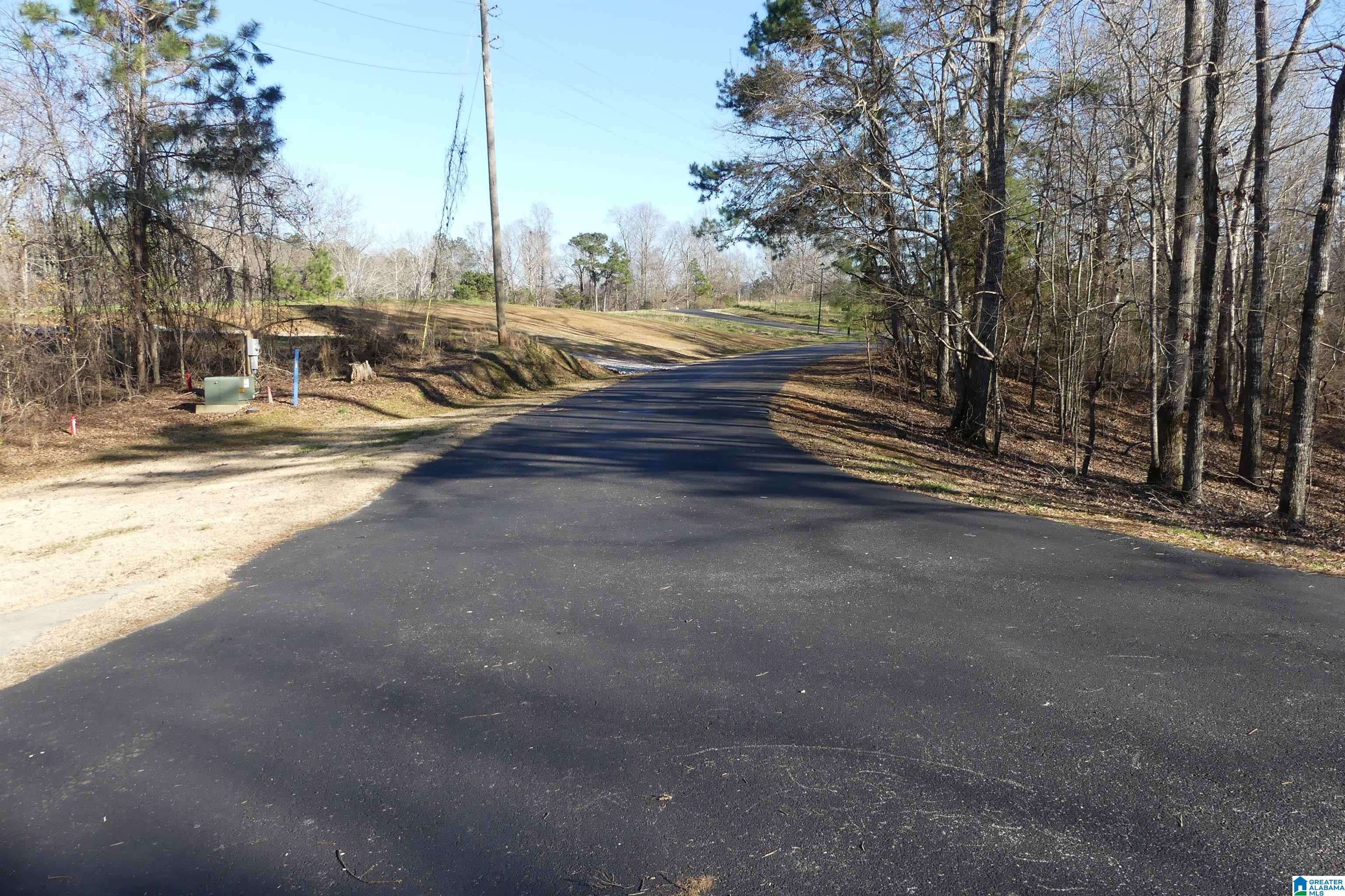 Wedowee, AL 36278,Lot 5 DAISY DRIVE #5