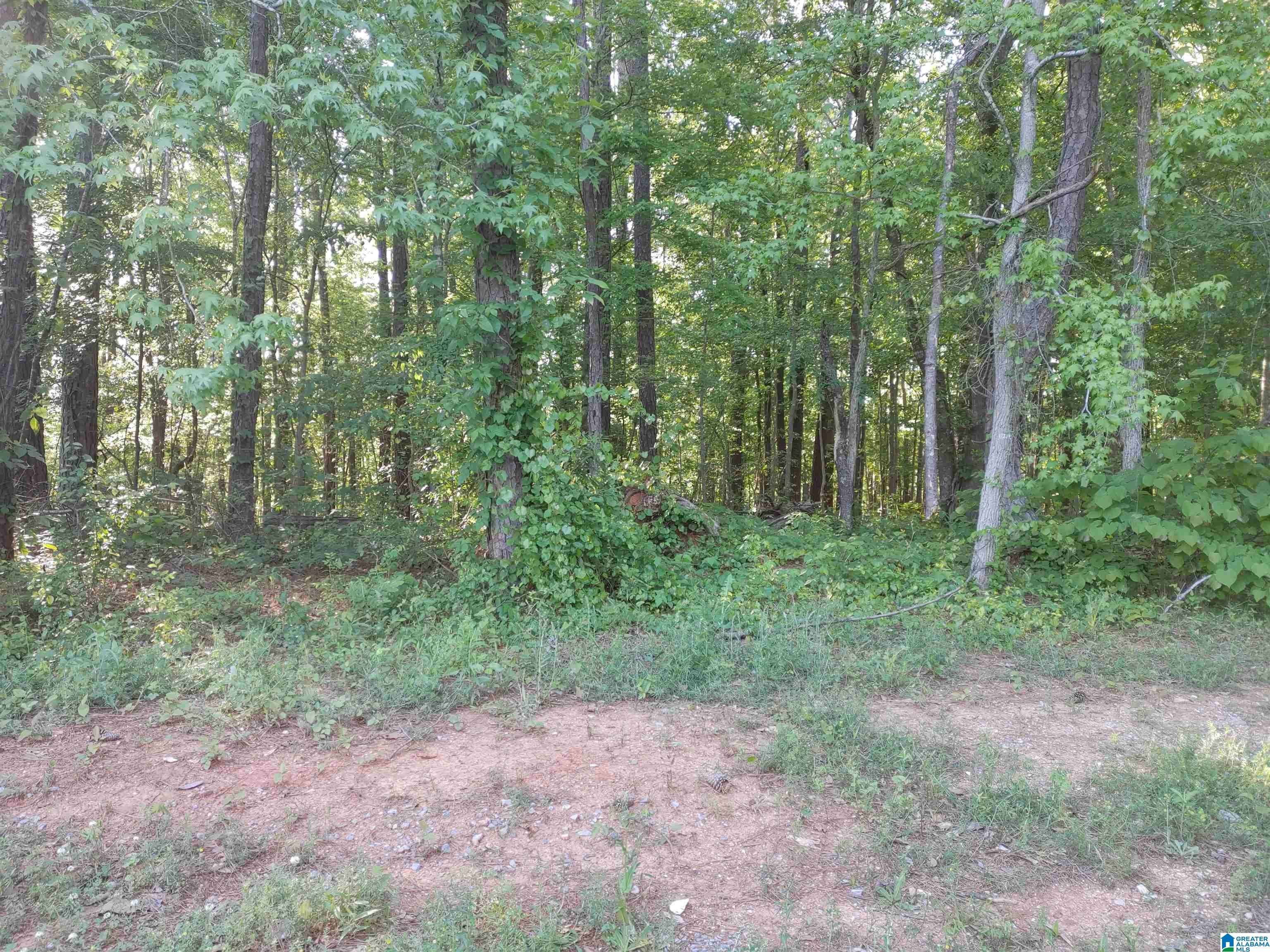 Sylacauga, AL 35150,00 COVE ROAD #28