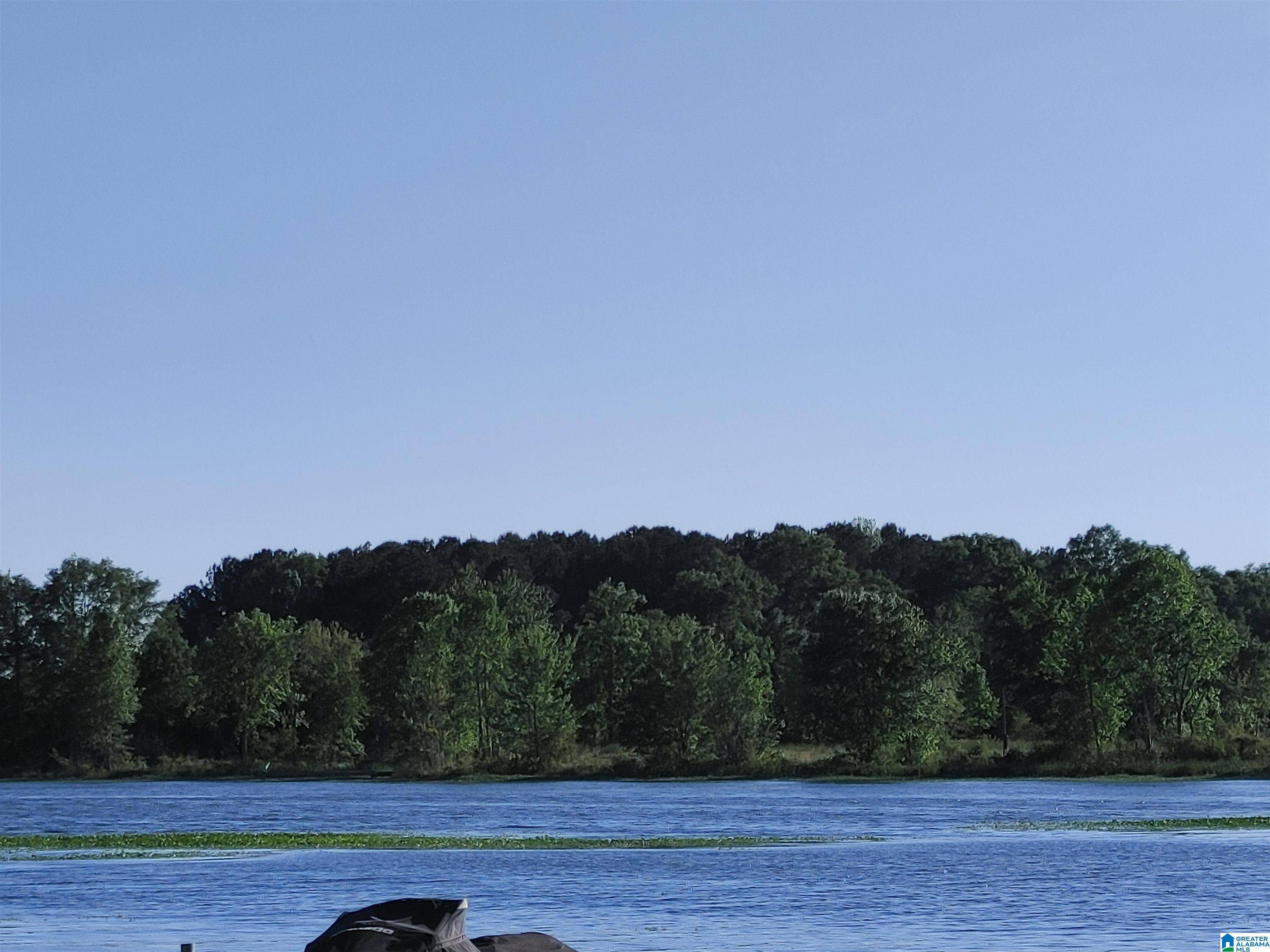 Sylacauga, AL 35150,00 COVE ROAD #28