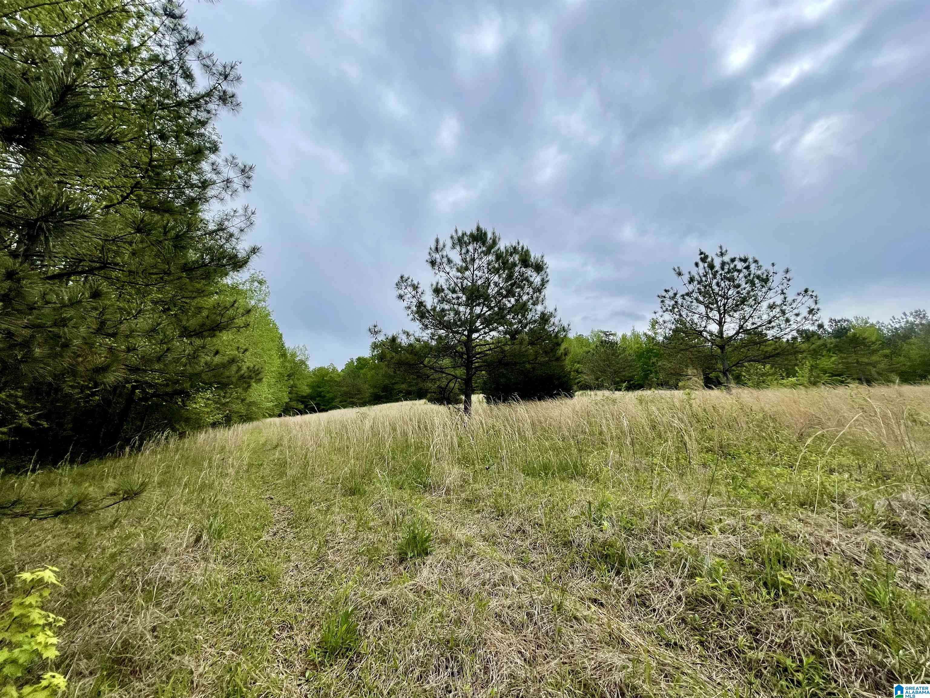 Altoona, AL 35952,3927 BRAZELL MILL ROAD