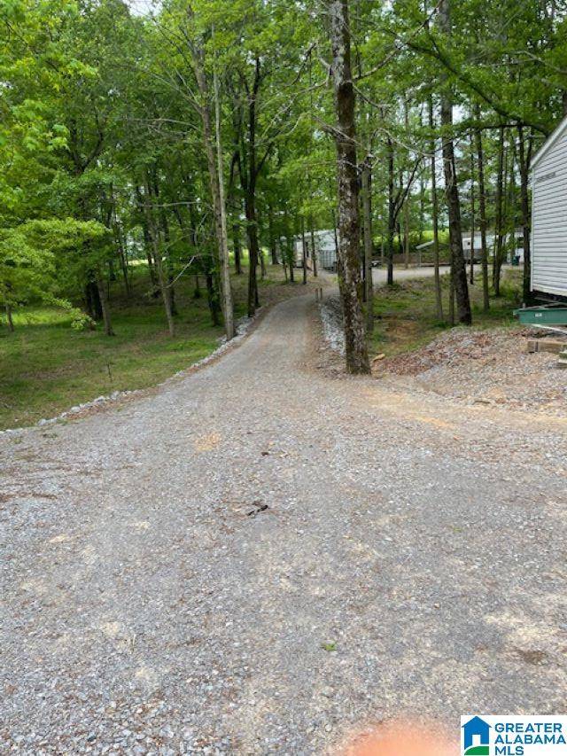 Crane Hill, AL 35053,14095 COUNTY ROAD 222 #1