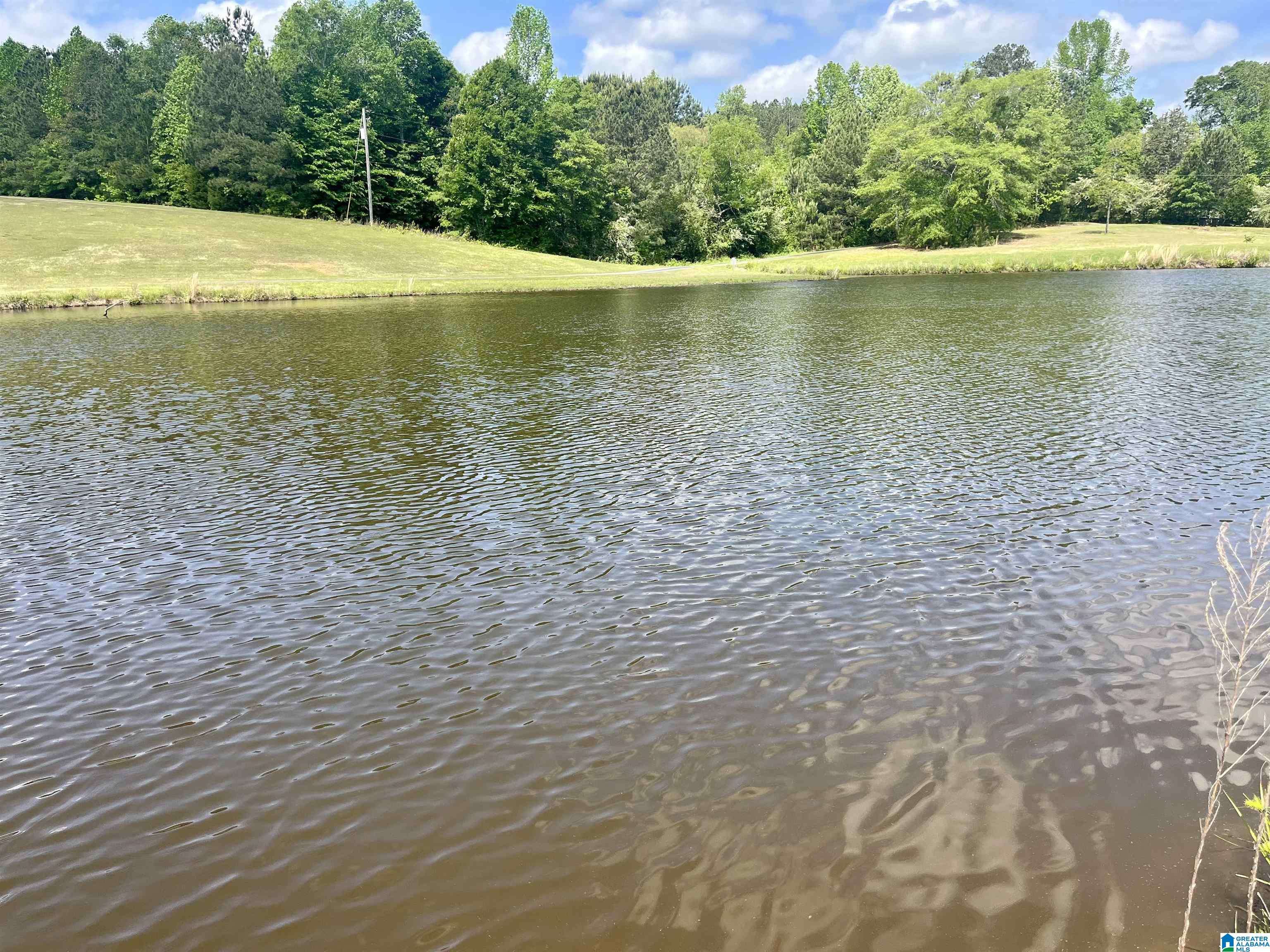 Roanoke, AL 36274,Lot 1 MARY DRIVE #1