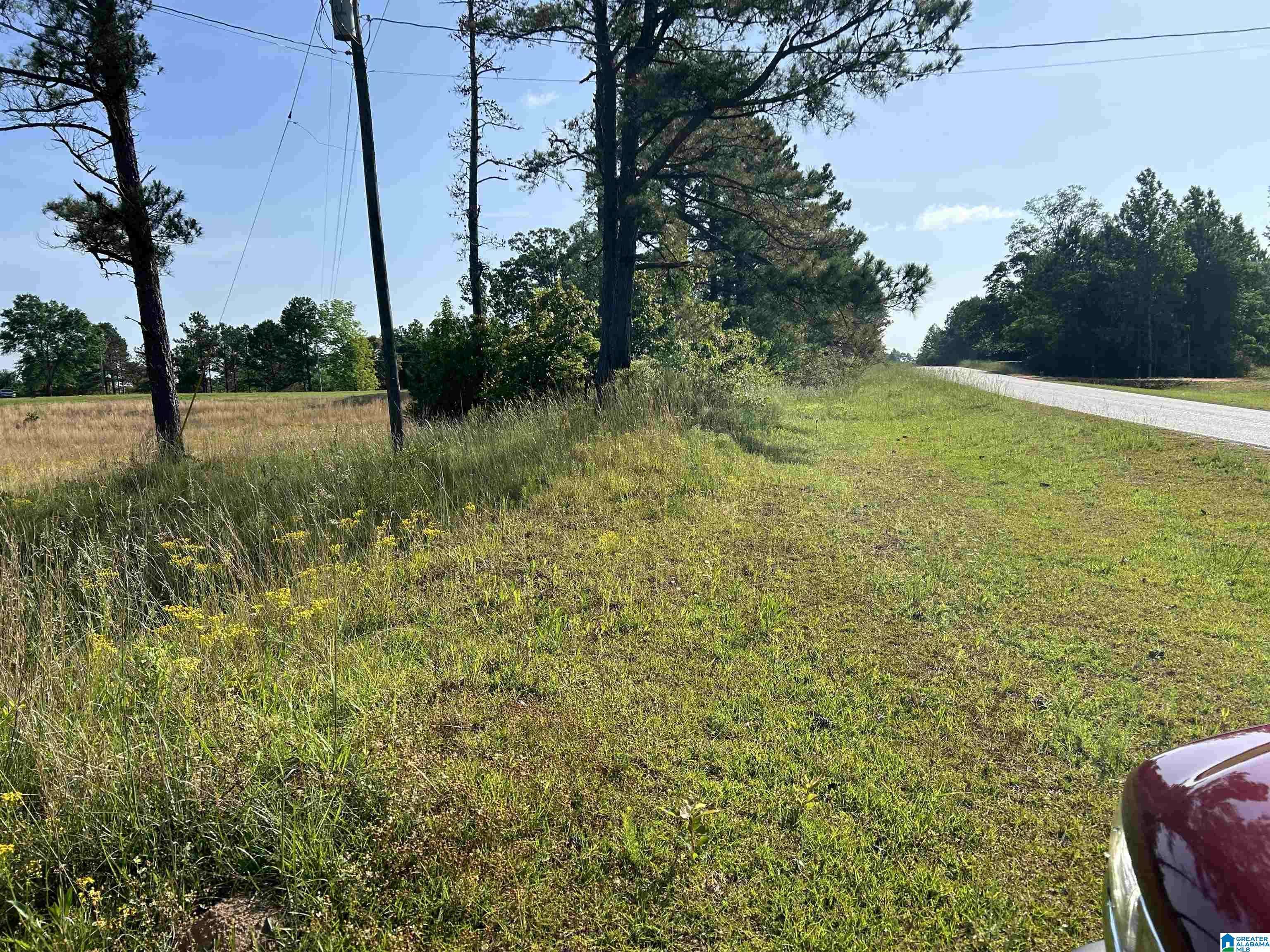 Verbena, AL 36091,4887 COUNTY ROAD 59 #1.0