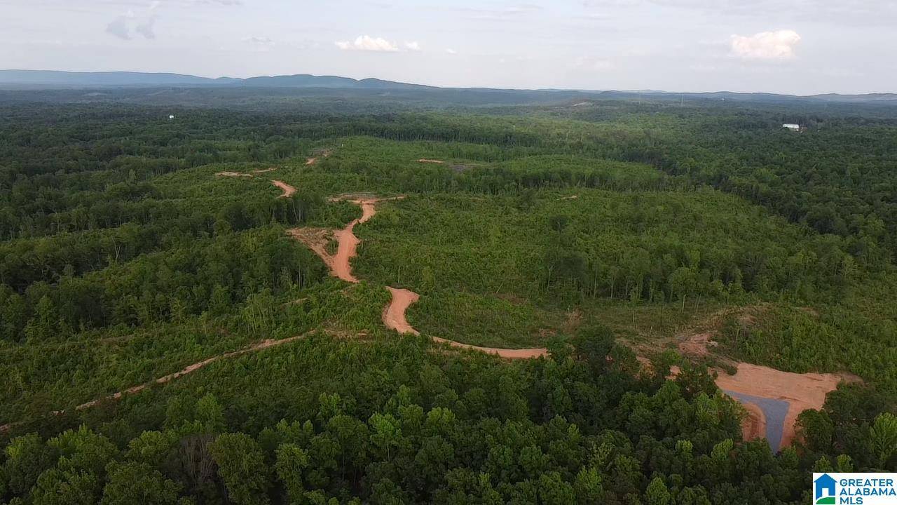 Sylacauga, AL 35151,1925 COALING ROAD #1