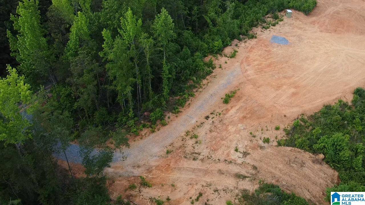 Sylacauga, AL 35151,1925 COALING ROAD #1