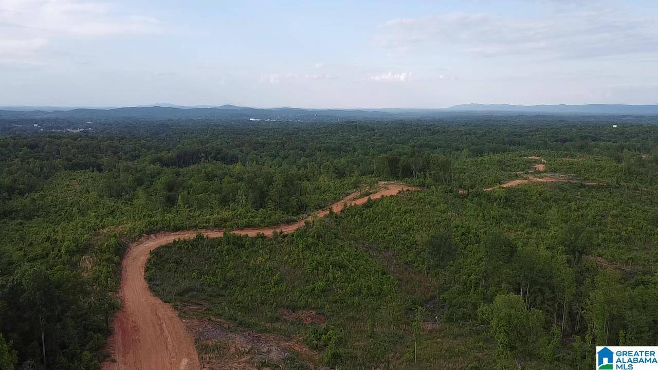 Sylacauga, AL 35151,1925 COALING ROAD #2