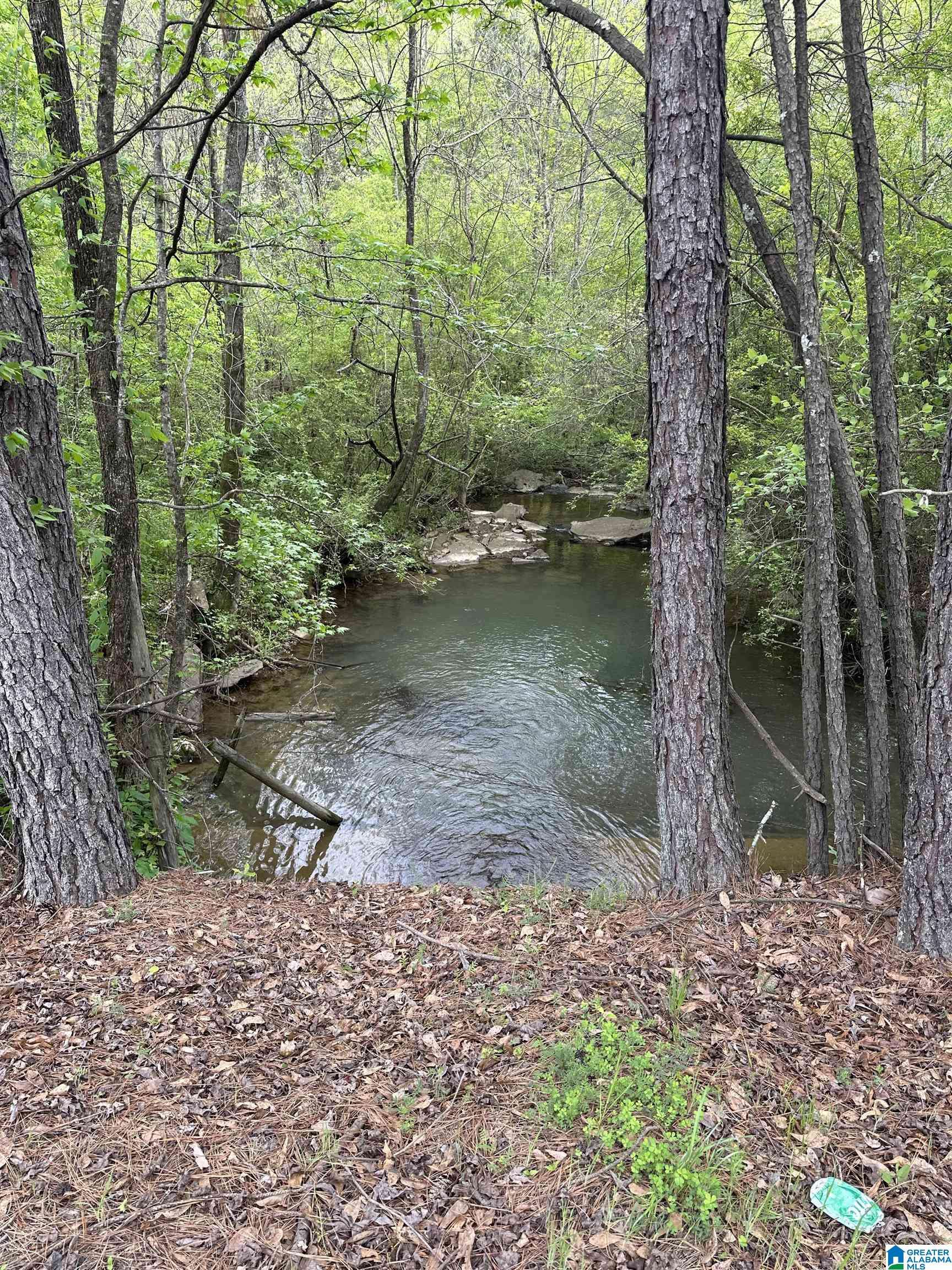 Dora, AL 35062,7951 RIVER ROAD #0