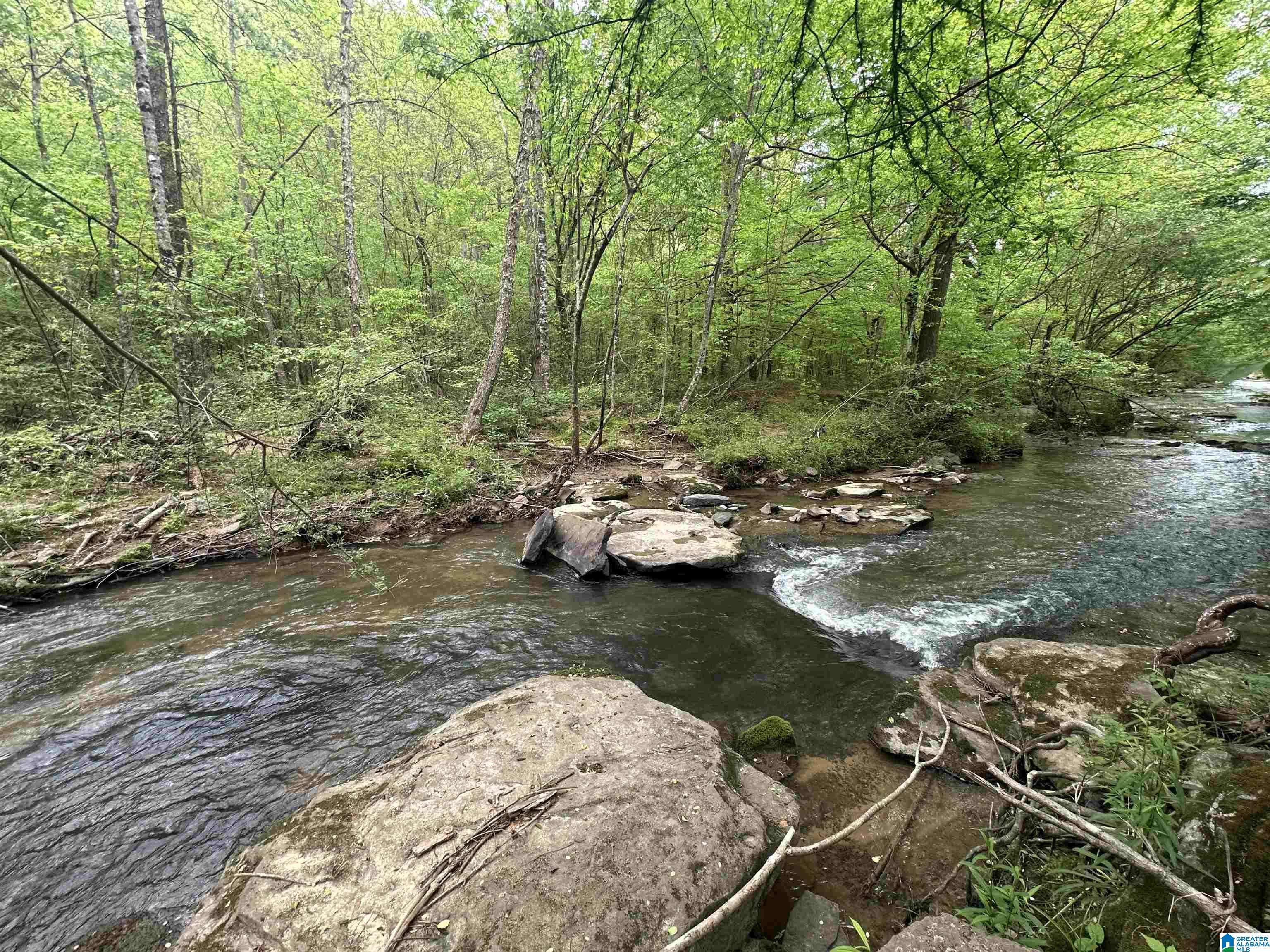 Dora, AL 35062,7951 RIVER ROAD #0