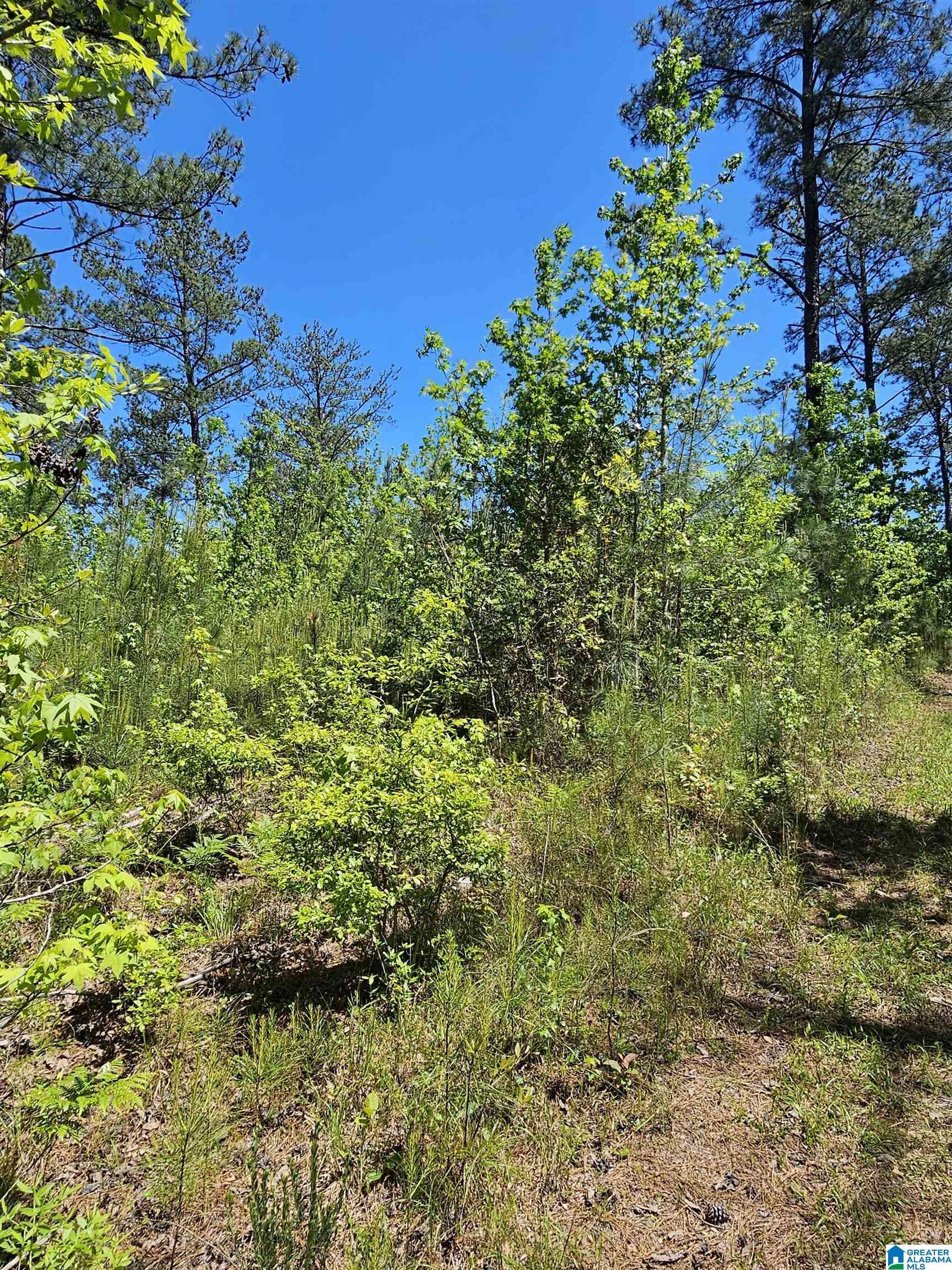 Clanton, AL 35045,0 COUNTY ROAD 454 #1